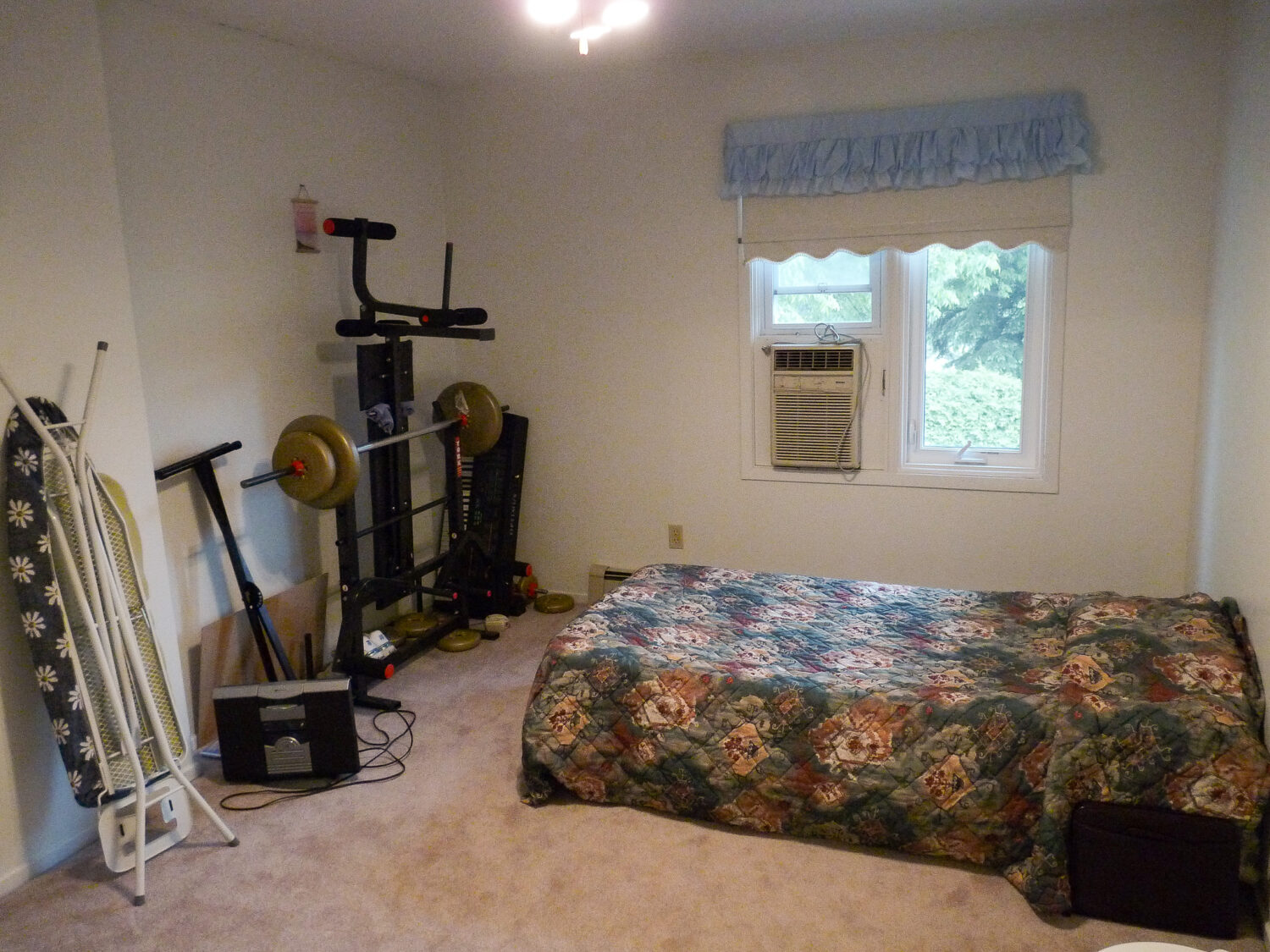 Replacing Carpet with DIY Hardwood Floors - BEFORE