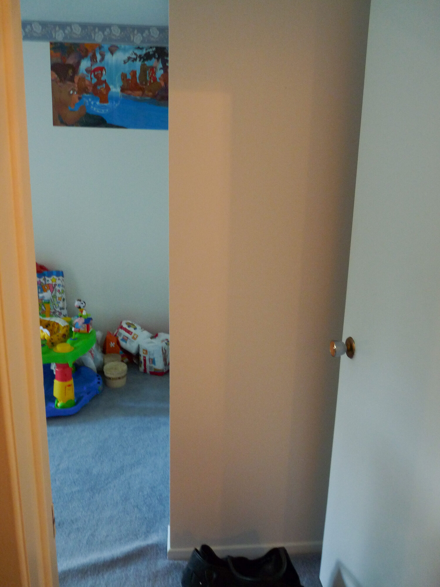 Replacing Carpet with DIY Hardwood Floors - BEFORE