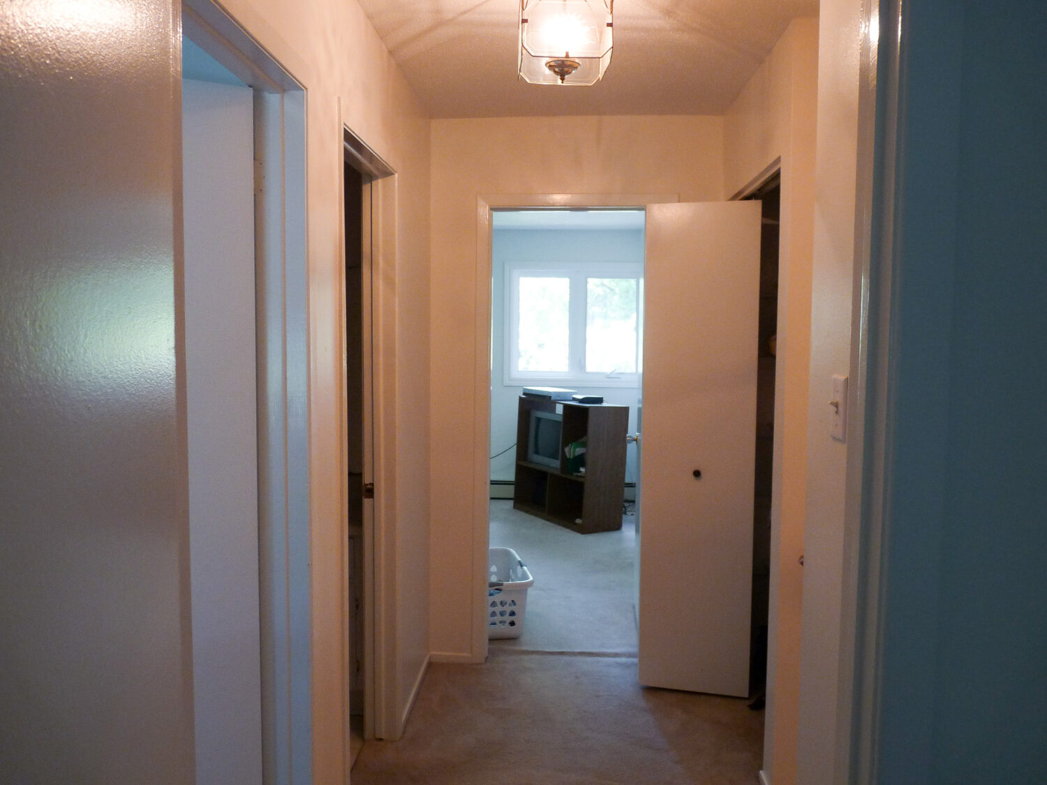 Replacing Carpeting with DIY Hardwood Flooring - BEFORE