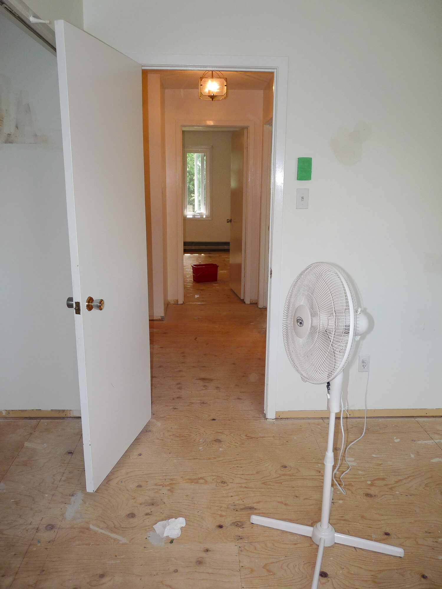 Replacing Carpeting with DIY Hardwood Flooring - Progress
