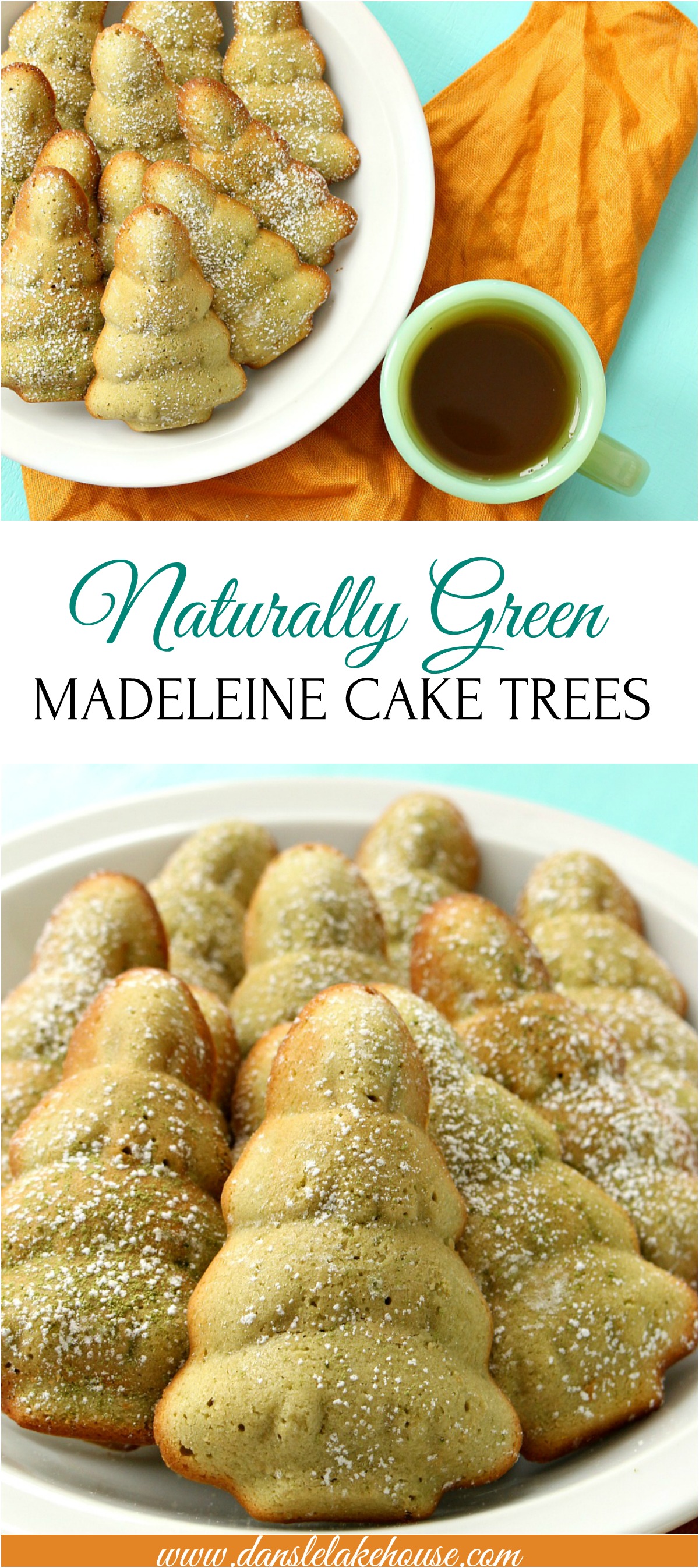 Naturally Green, Tree Shaped Matcha Madeleine Cakes