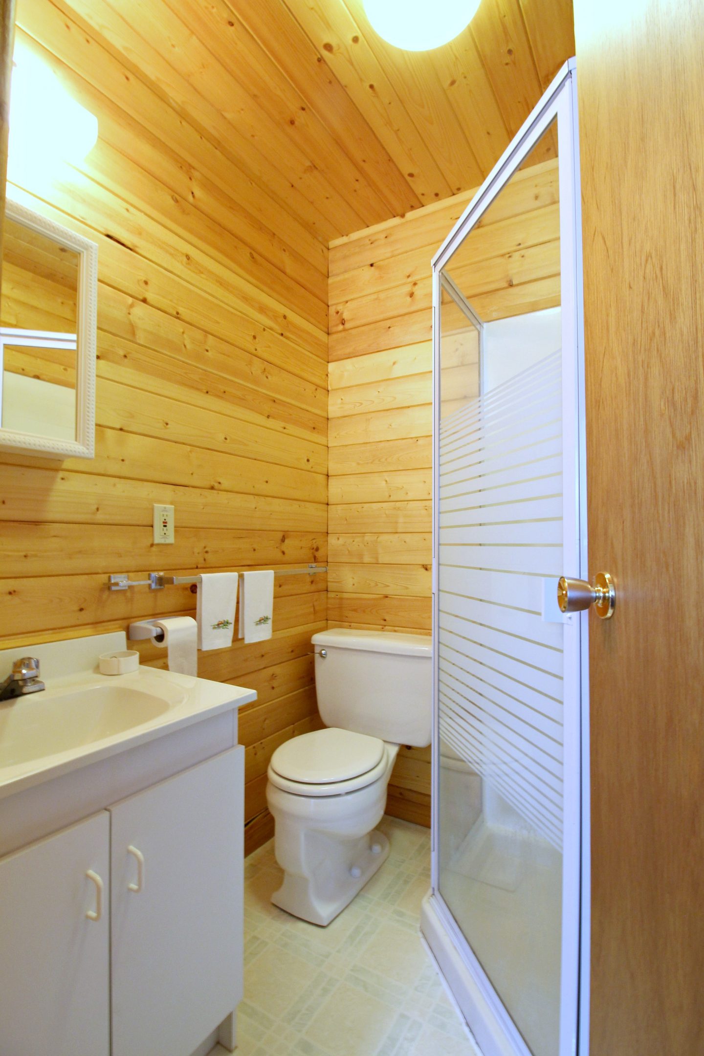 Bunkie Bathroom Before