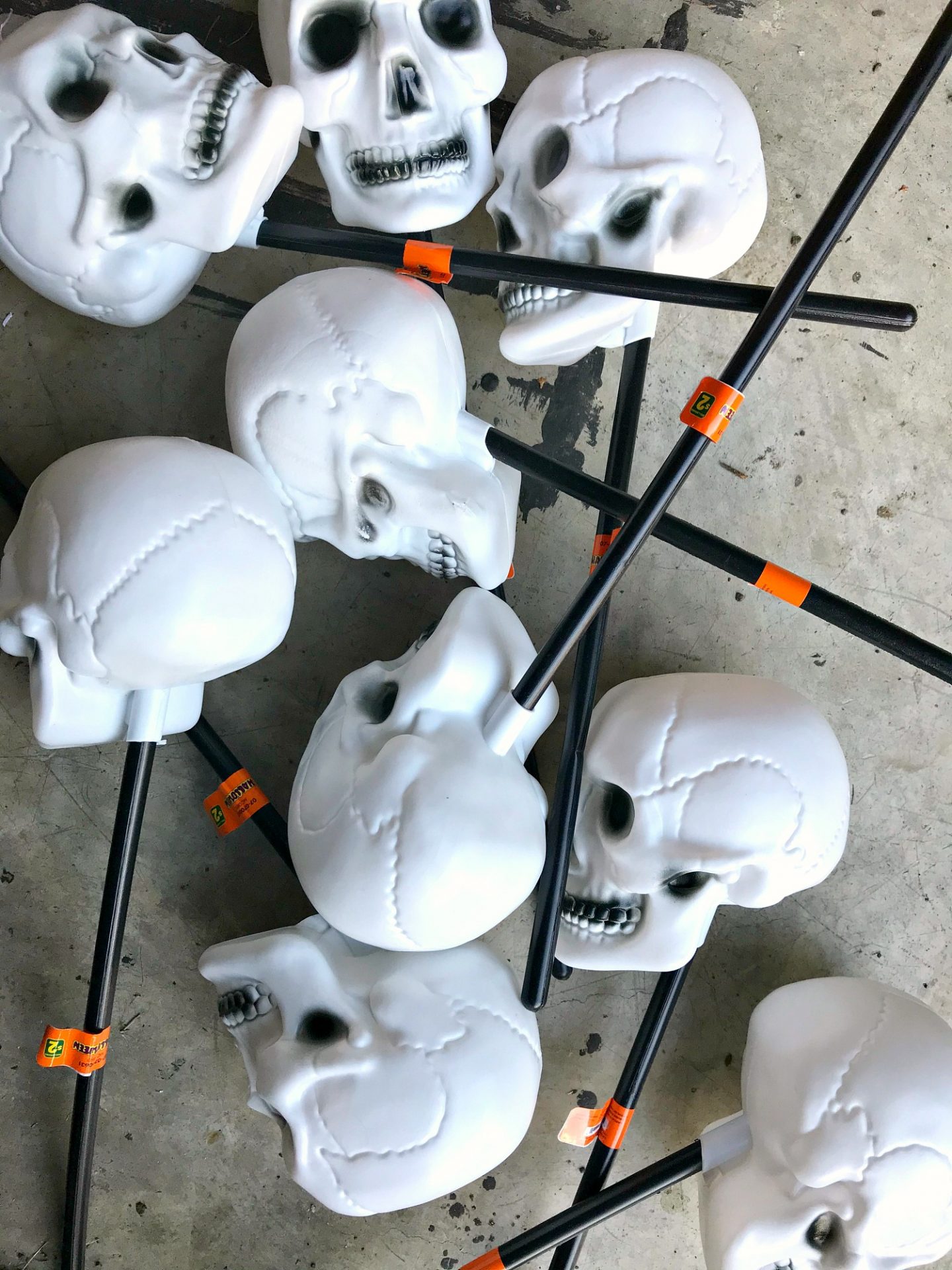 Plastic Skulls