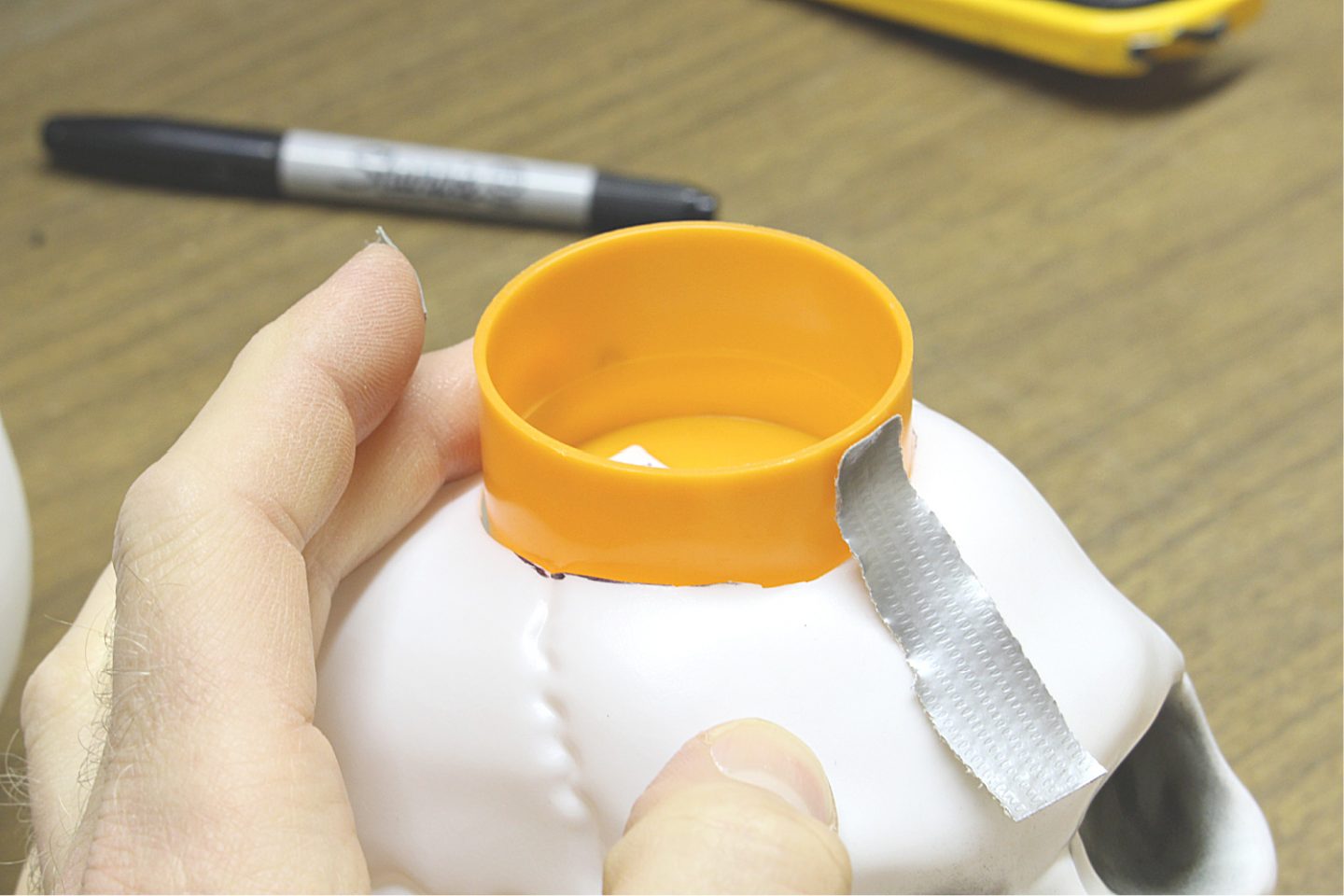 Turn a Skull into a Candle Holder