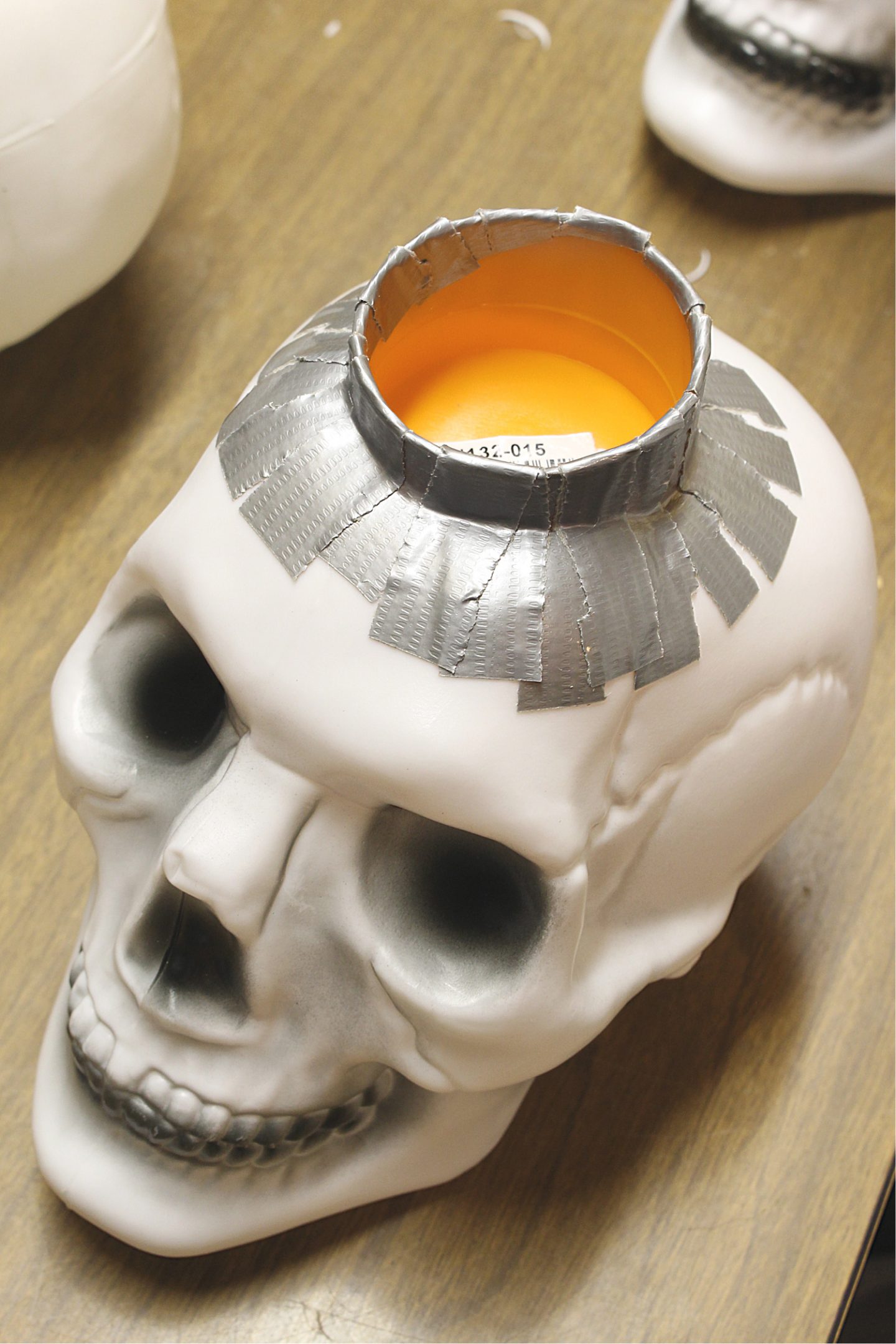 Make a Plastic Mould for Concrete Skull