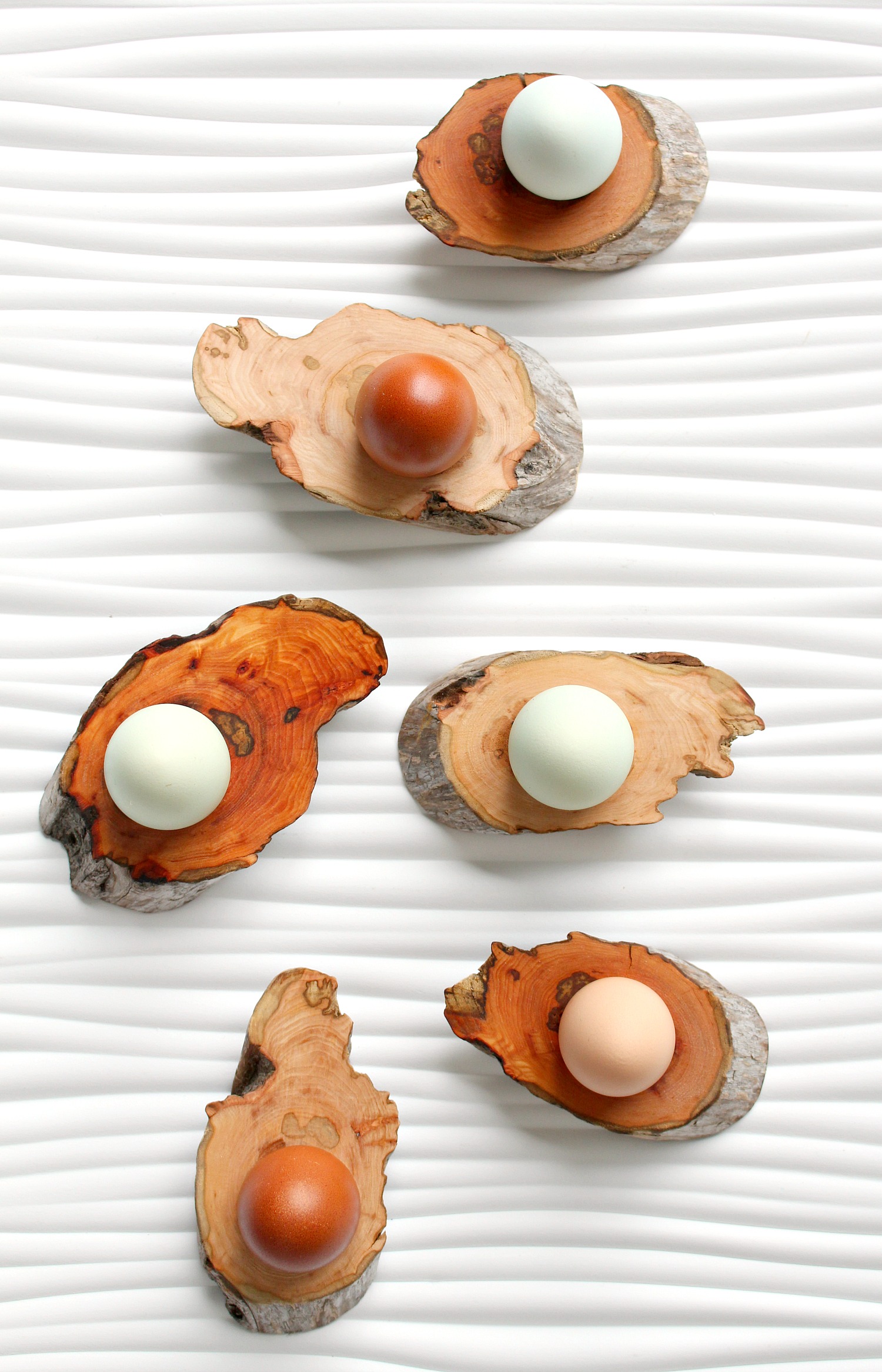 DIY Driftwood Craft Ideas