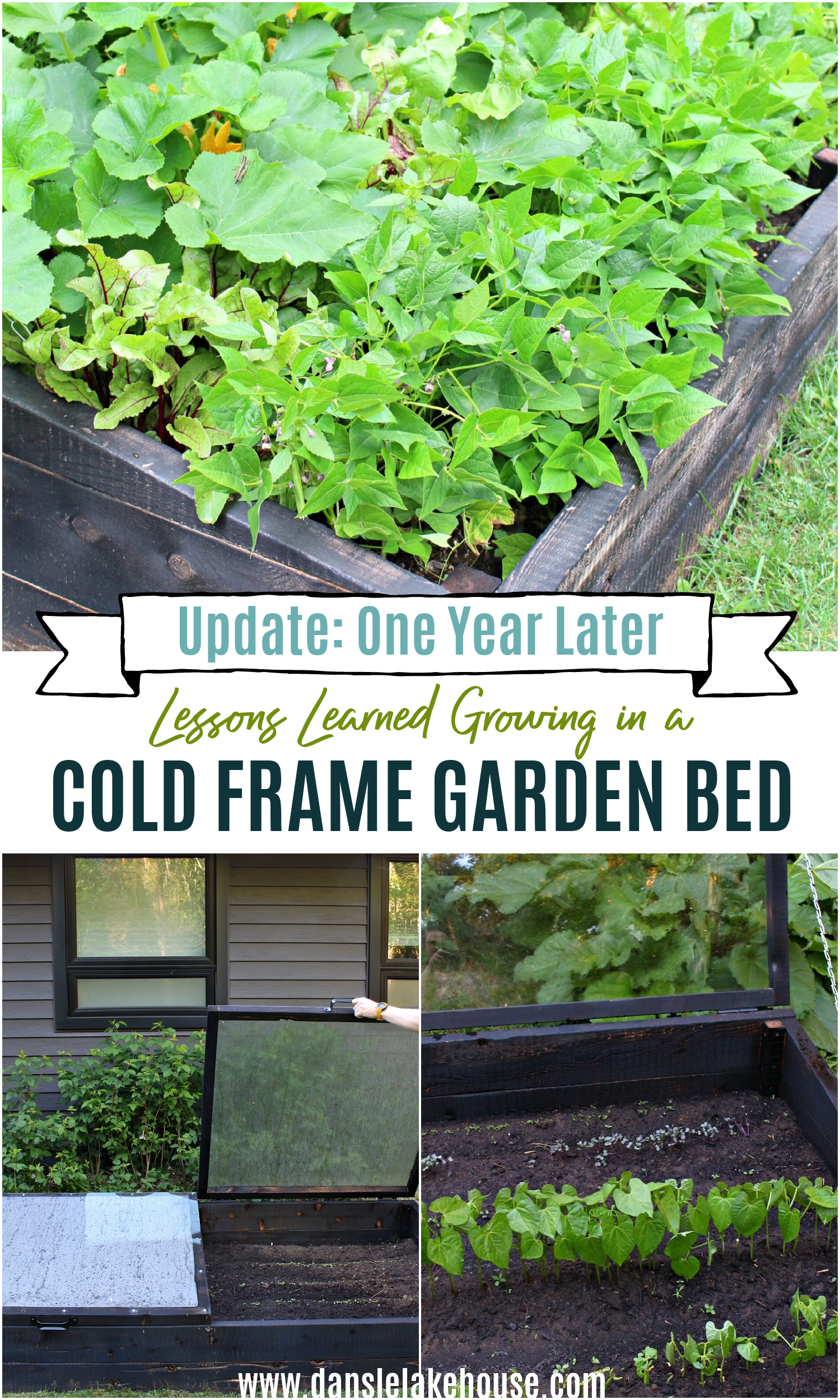 Lessons Learned Growing in a Cold Frame Garden Bed