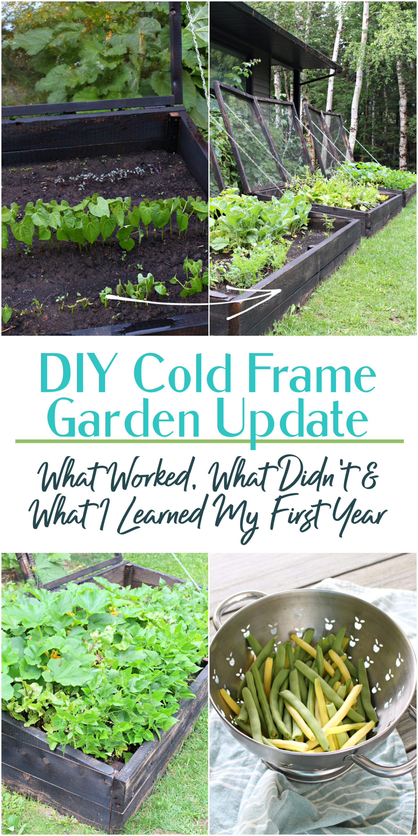 DIY Cold Frame Garden Update: What Worked, What Didn't & What I Learned