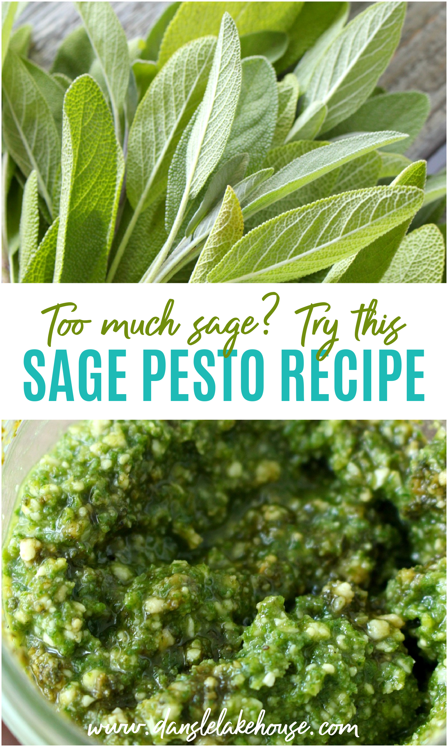 Sage Pesto Recipe
