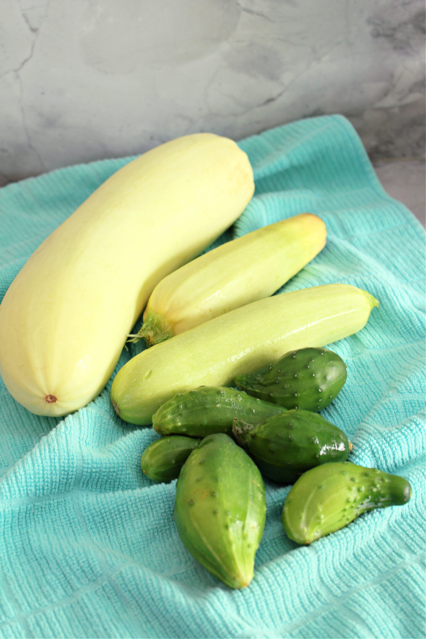 Cold Frame Gardening for Beginners