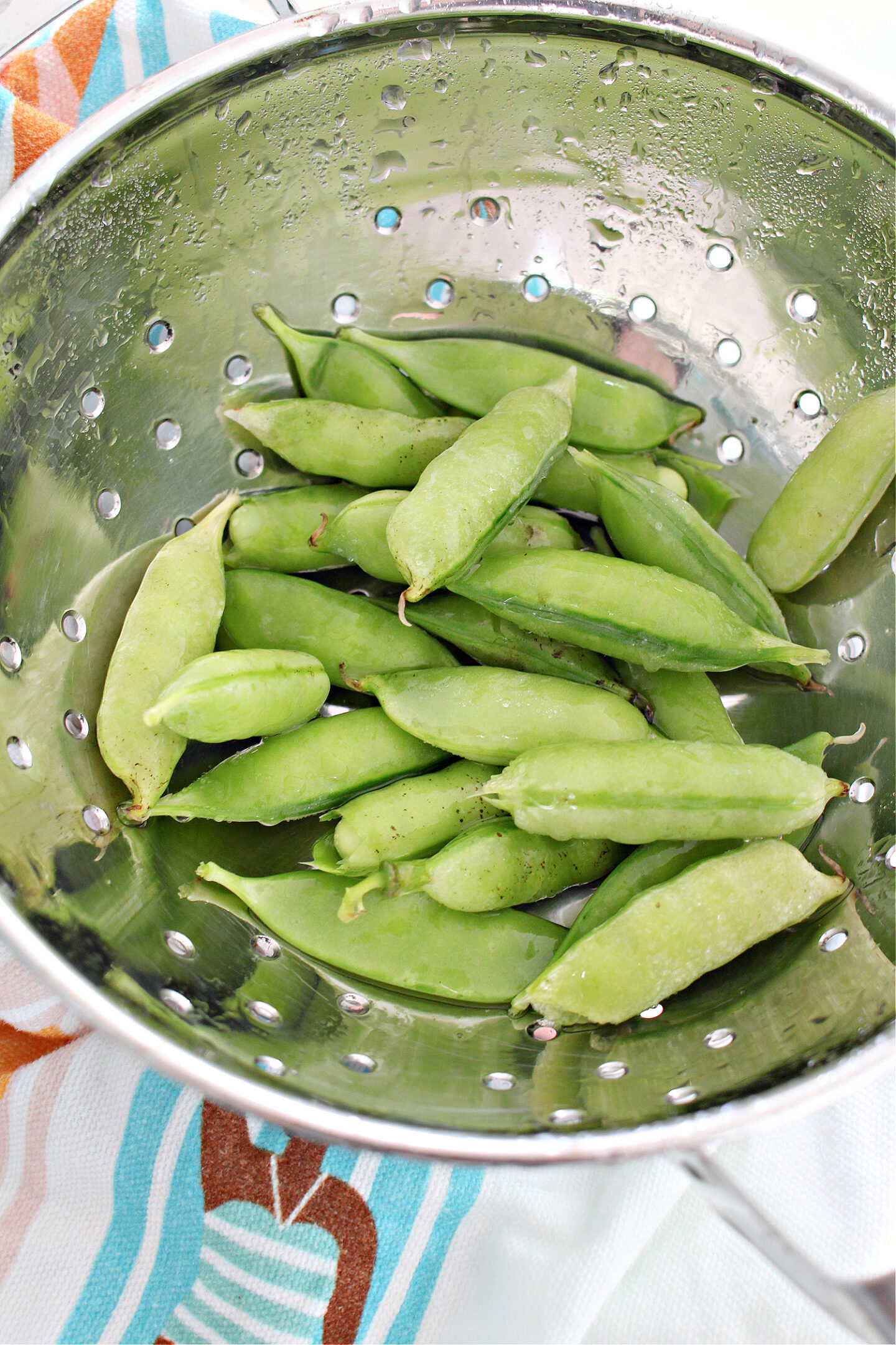 Small Vegetable Gardening Tips