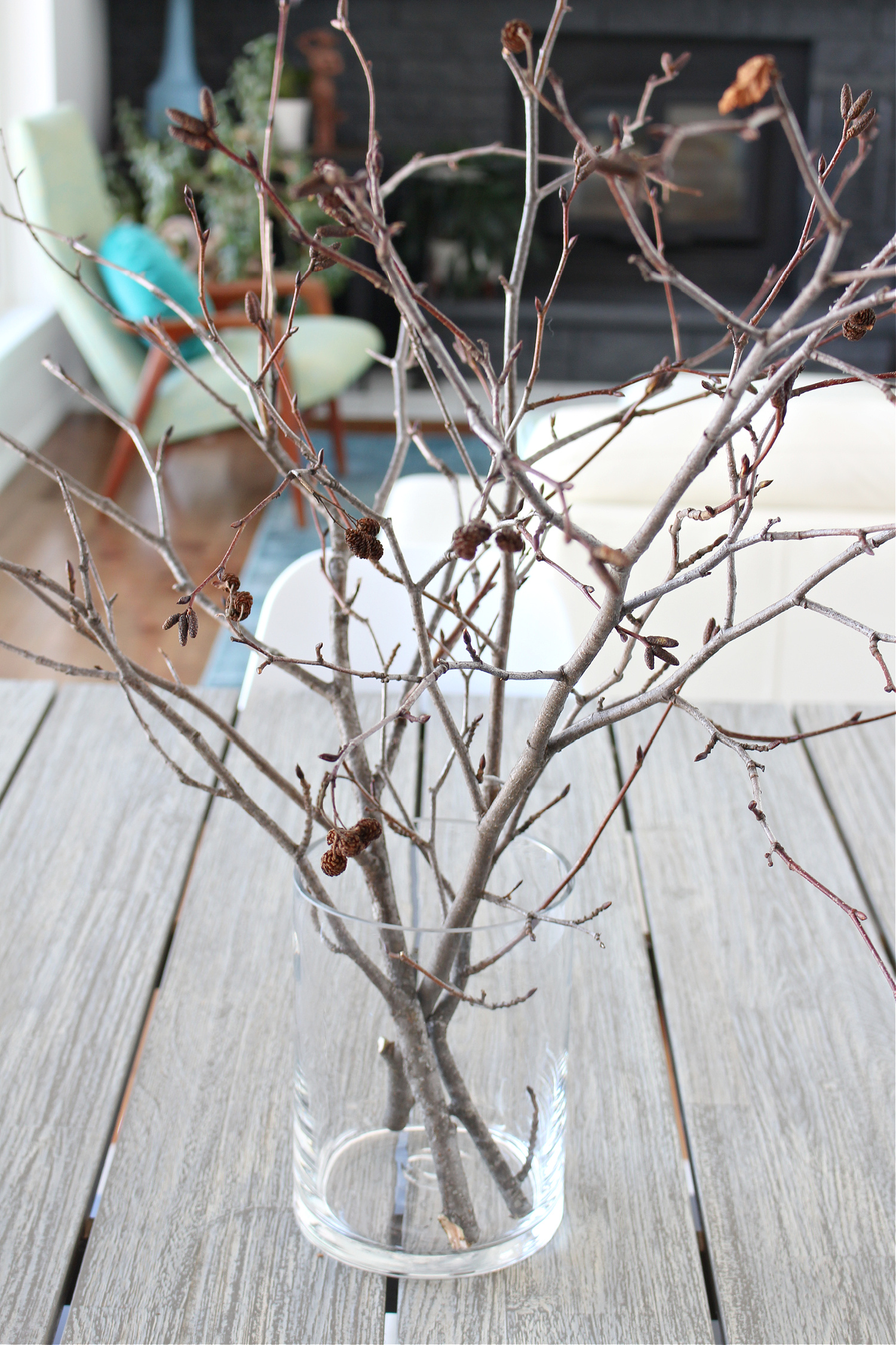 How to Make Fake Forced Bloom Branches