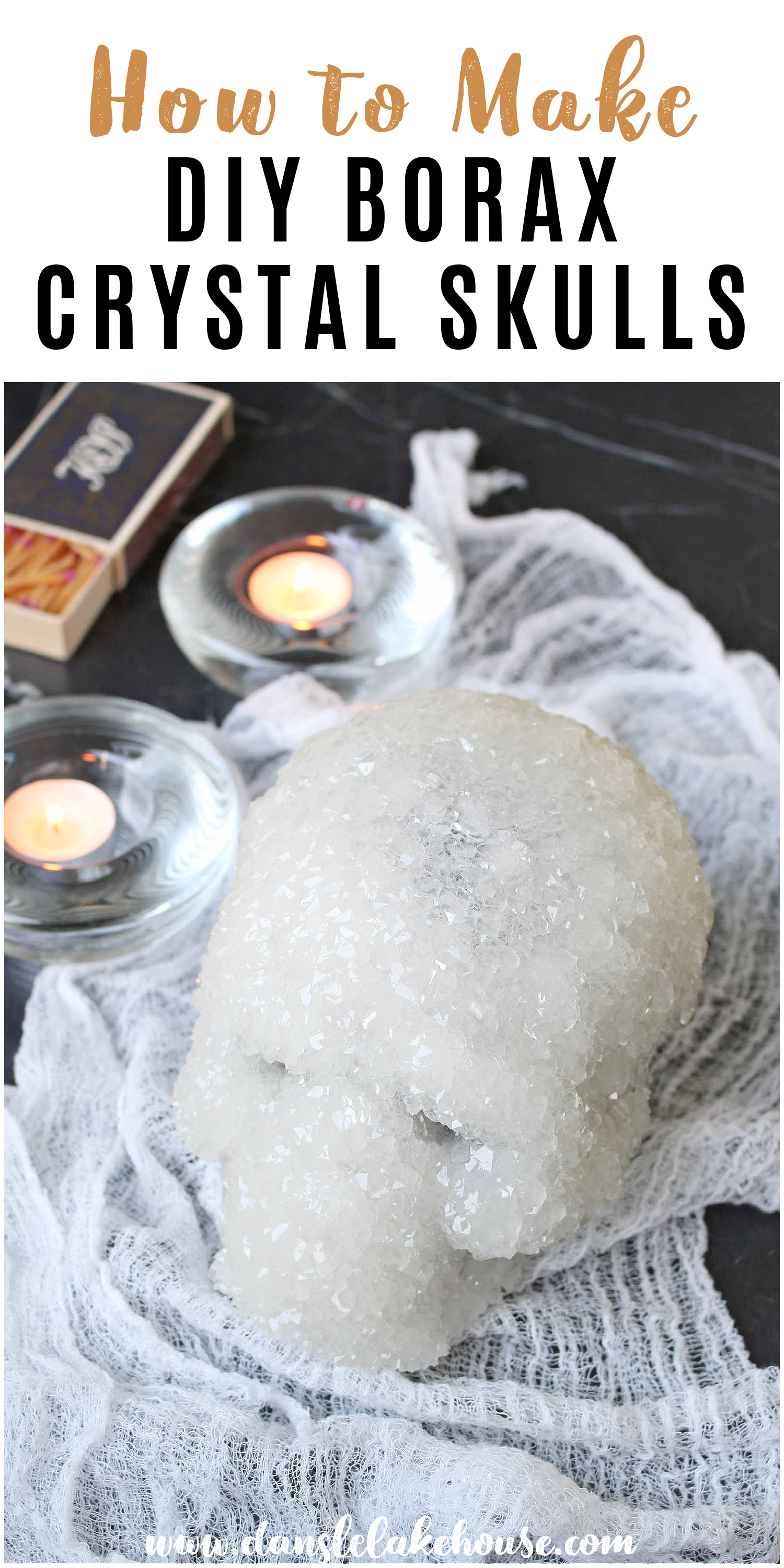 DIY Borax Crystal Skull Tutorial