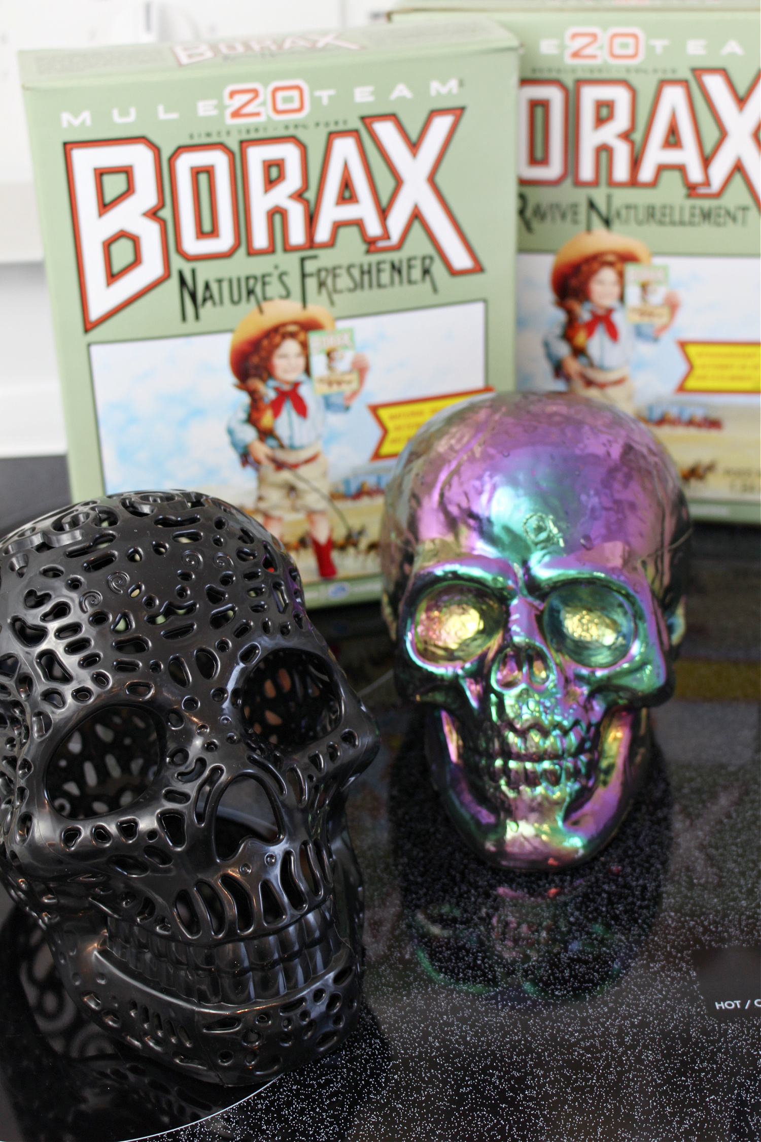 DIY Borax Crystal Skull Tutorial