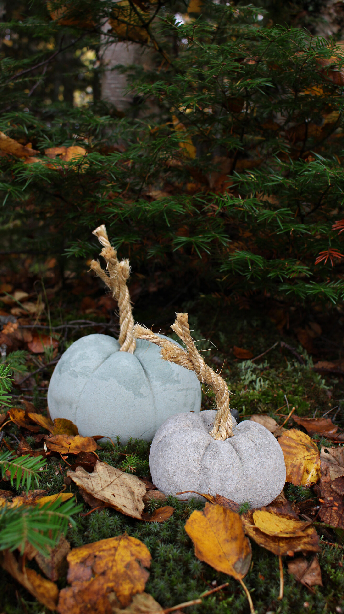 DIY Concrete Pumpkins