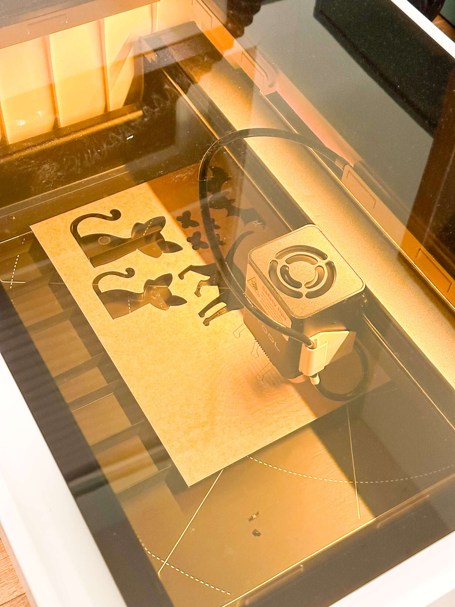 xTool M1 Laser Engraver and Laser Cutter Review