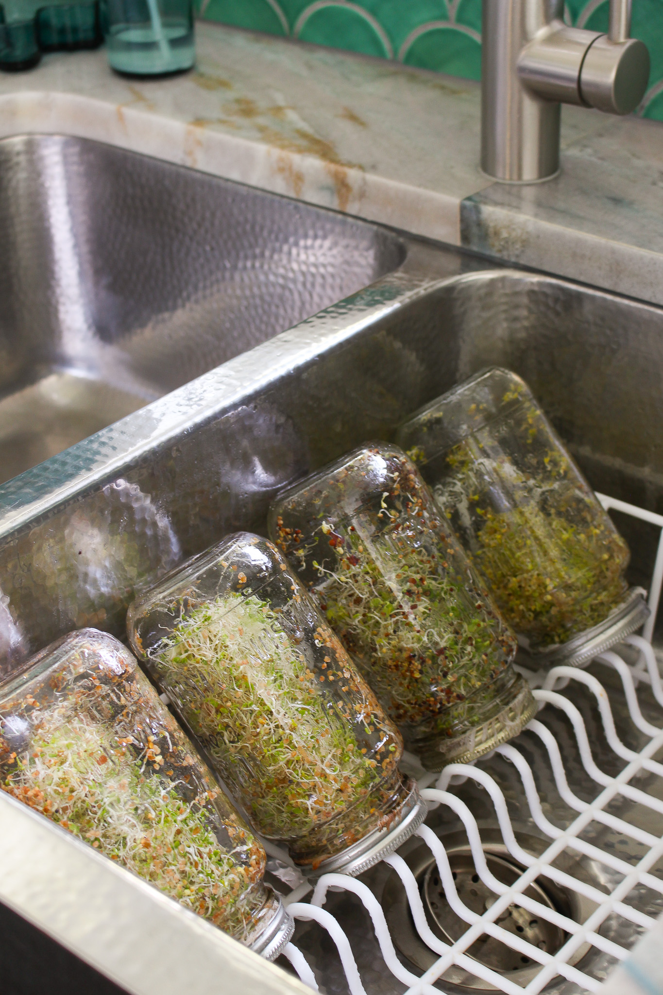 How to Grow Sprouts in Jars