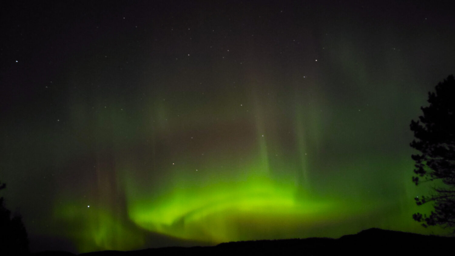 Green Northern Lights