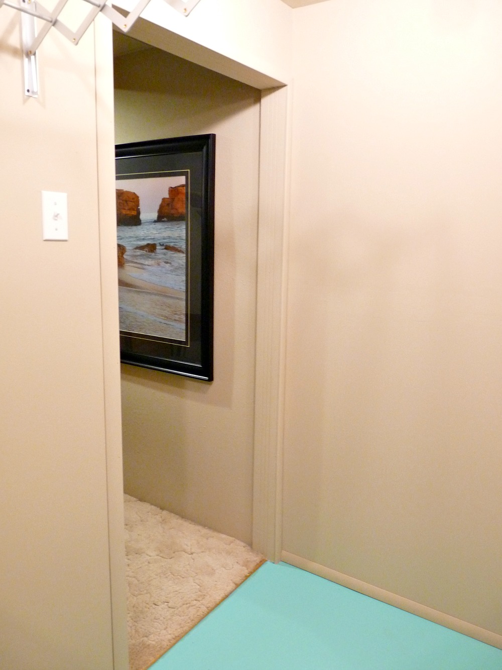 Painted Basement Laundry Room Makeover