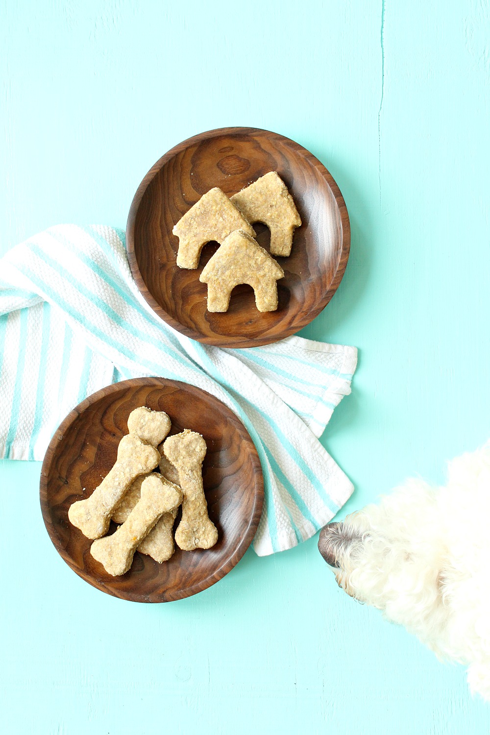 Homemade Dog Treats Recipe + Ideas