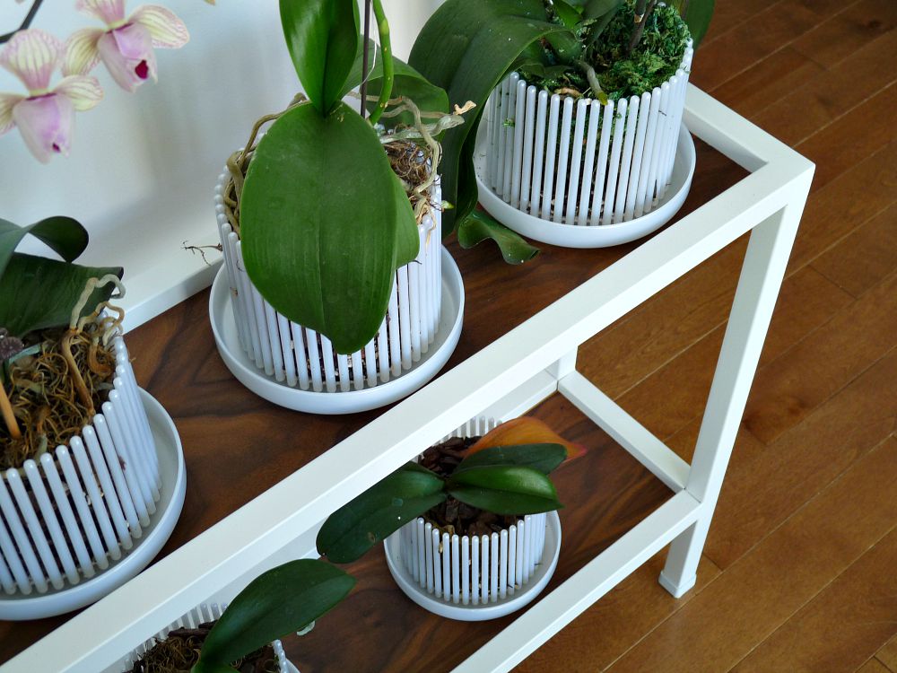 Update Broken Glass Shelves with DIY Walnut Plywood Shelves