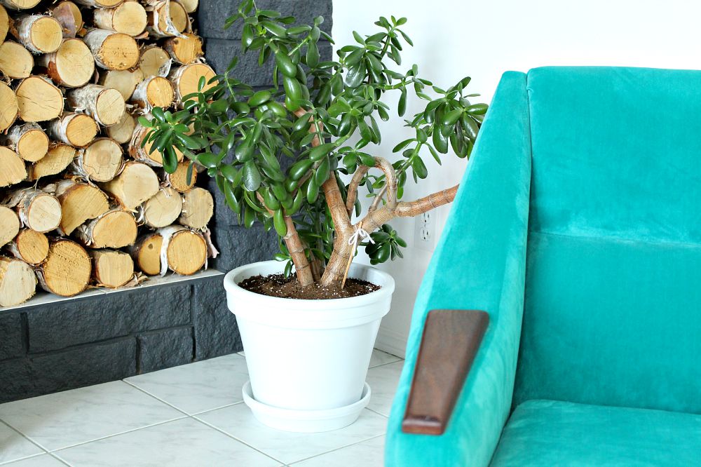 How to Paint Terracotta Planters so They Don’t Look Painted