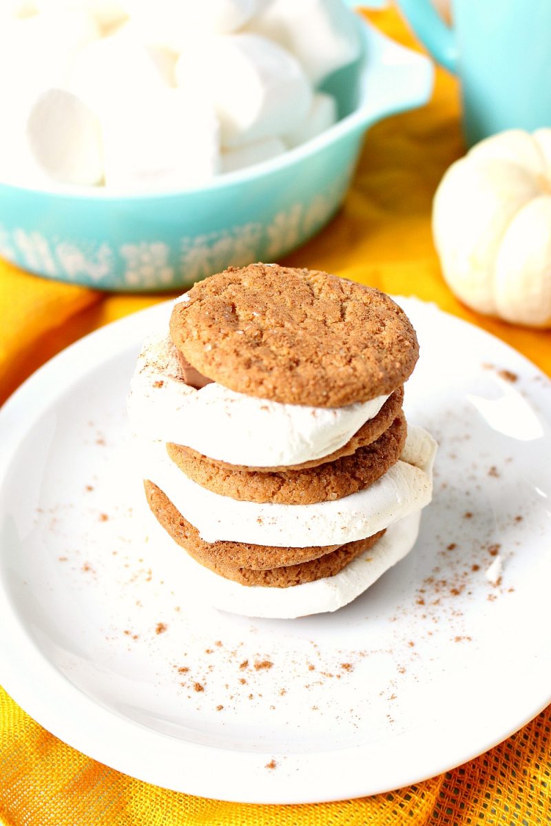 Pumpkin Spice S’mores + A Night Around the Campfire