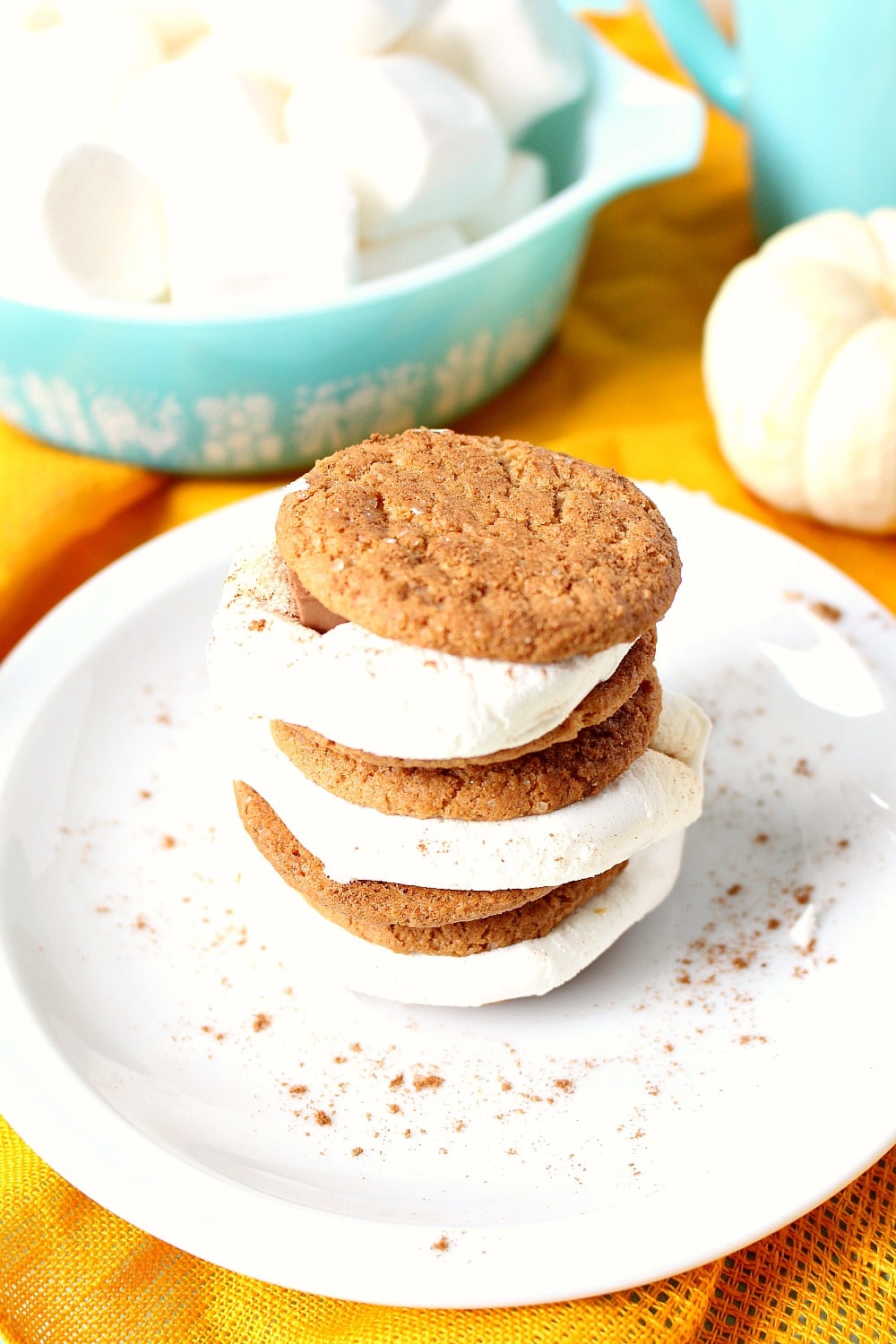 Pumpkin Spice S’mores + A Night Around the Campfire
