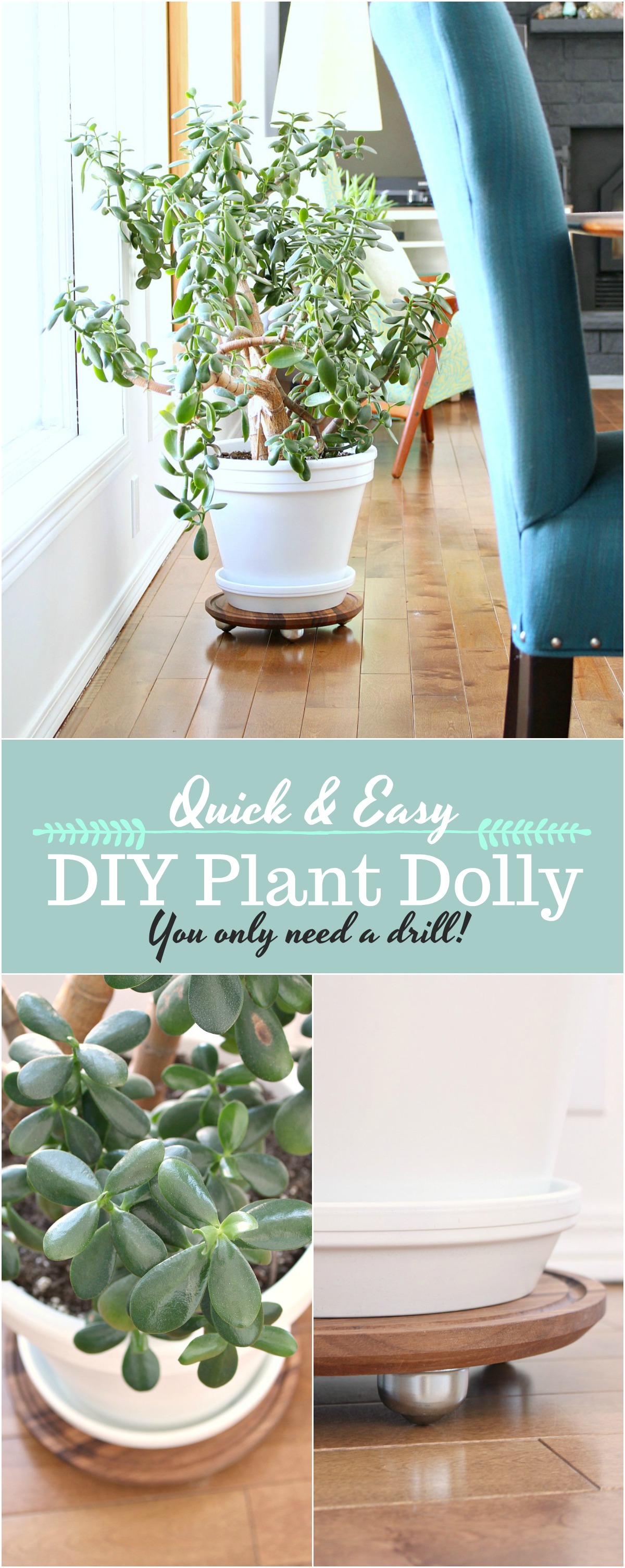 DIY plant dolly tutorial