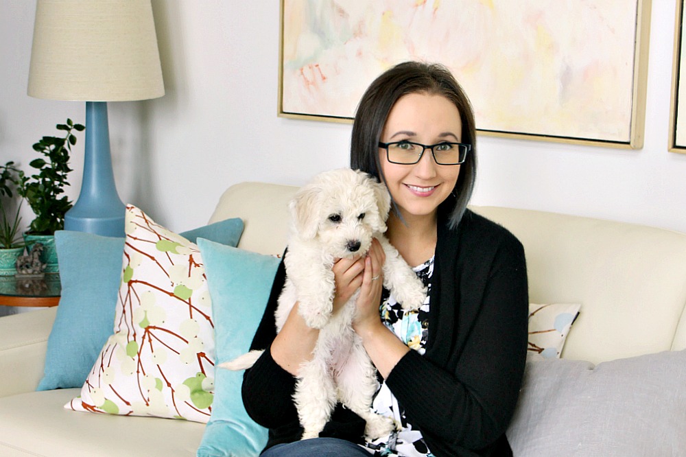shopping list for new puppy must-haves