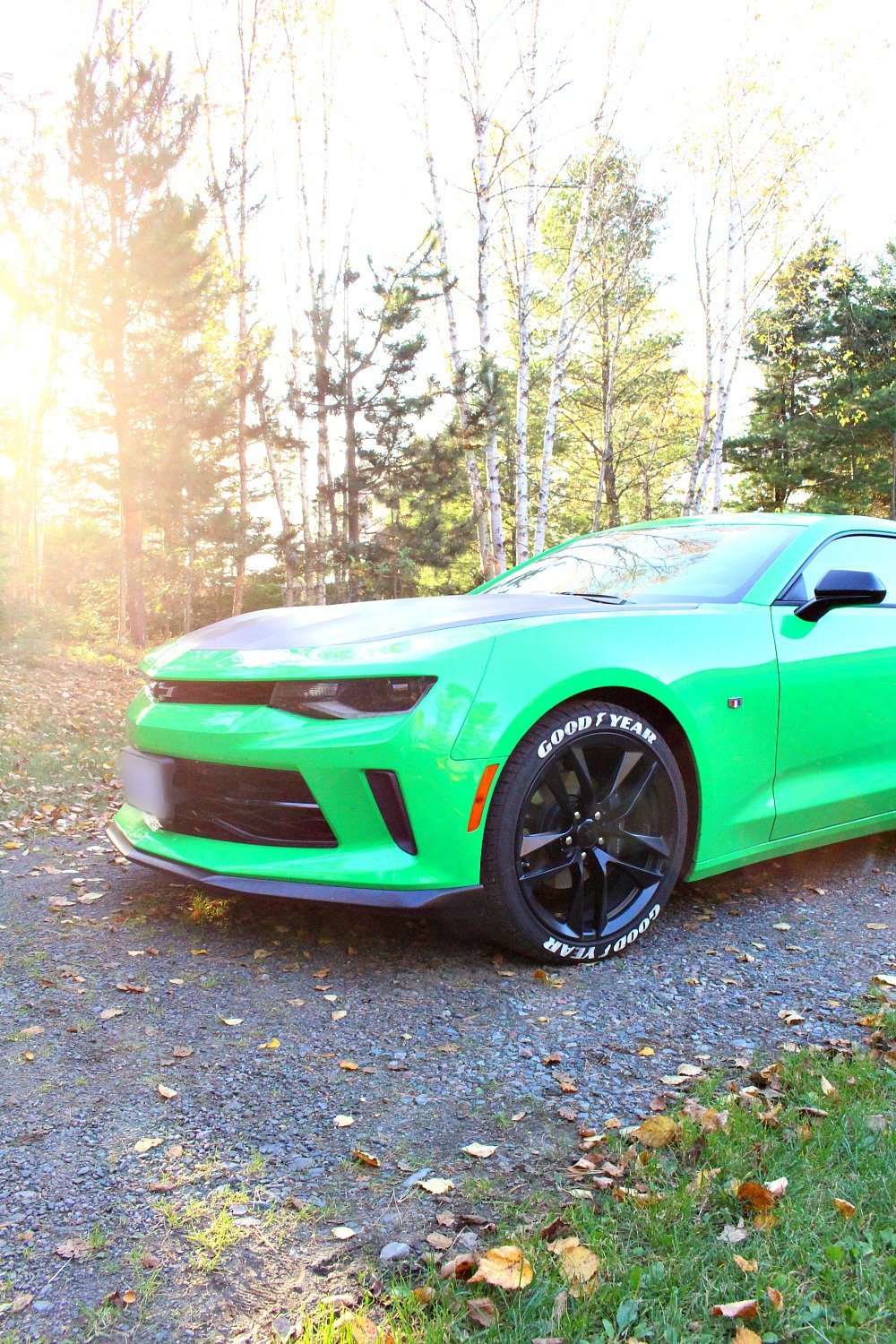 Good-Bye Charlie, Hello Camaro
