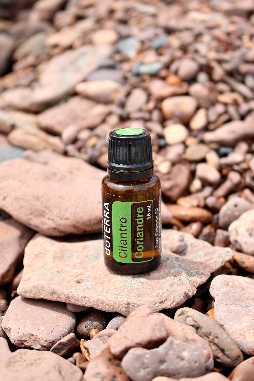 Cilantro Essential Oil Uses