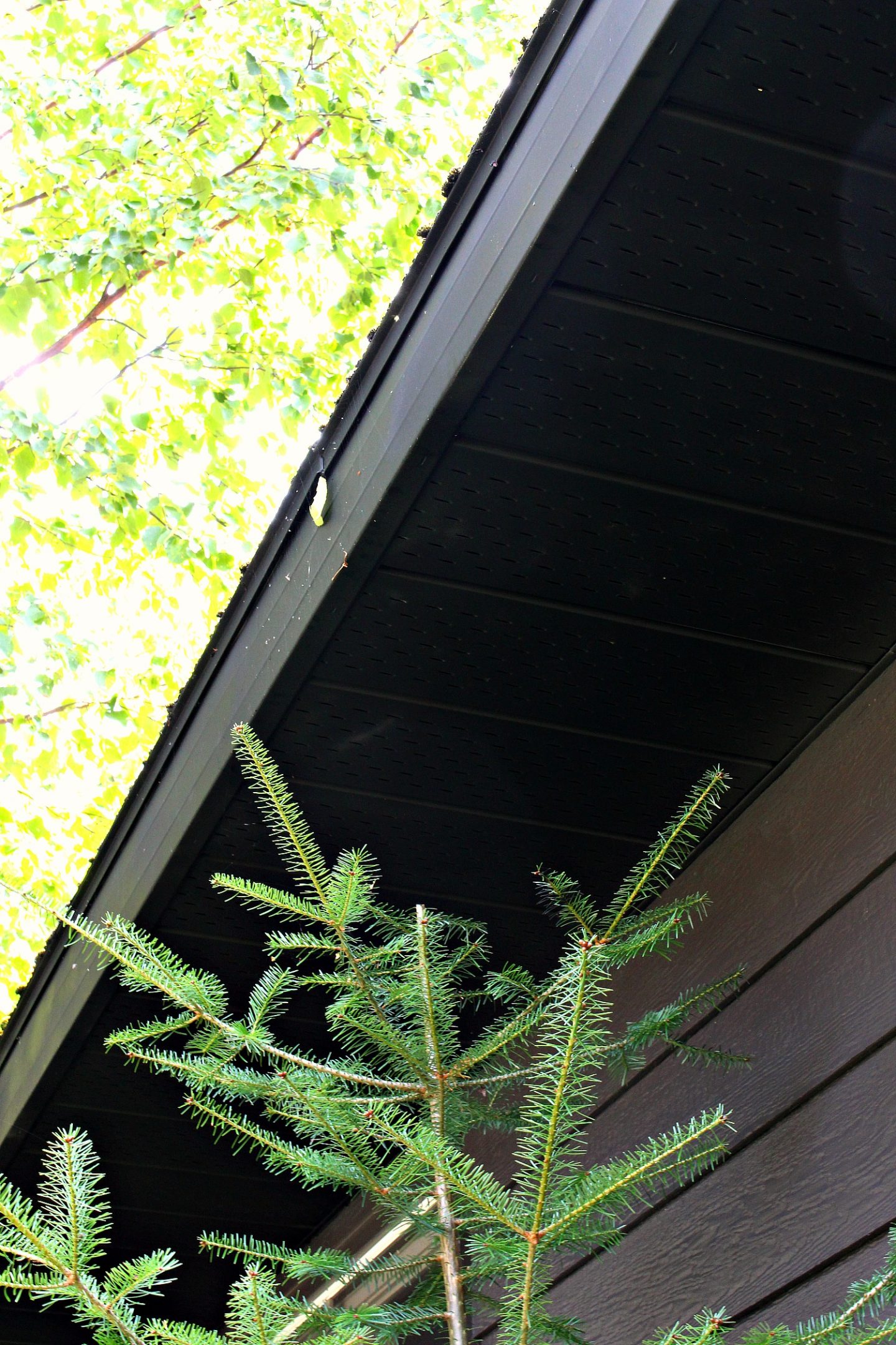 DIY painted soffit and fascia