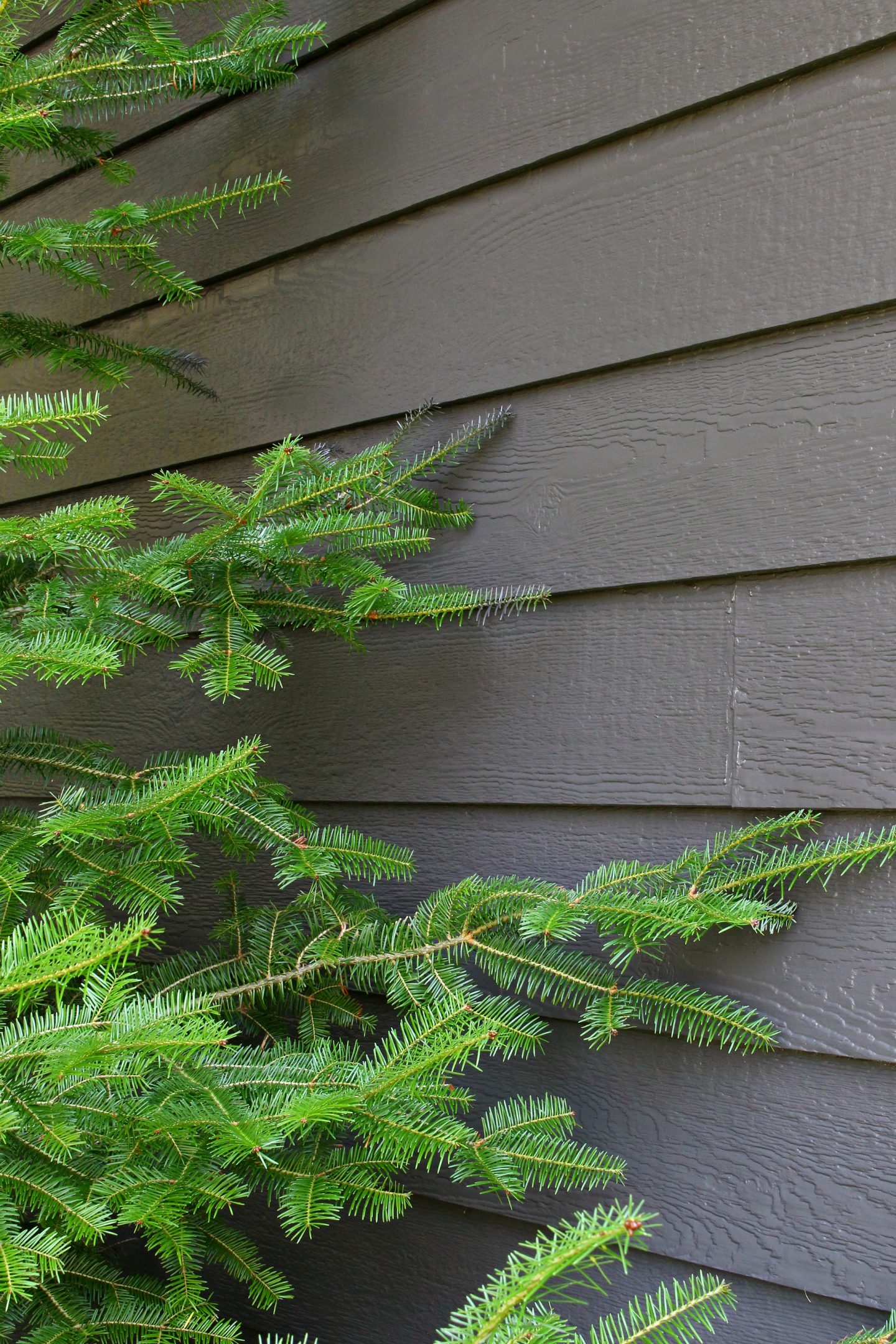 Garage Makeover: Painting Siding with a Paint Sprayer (Wagner Control Pro 150 Review)