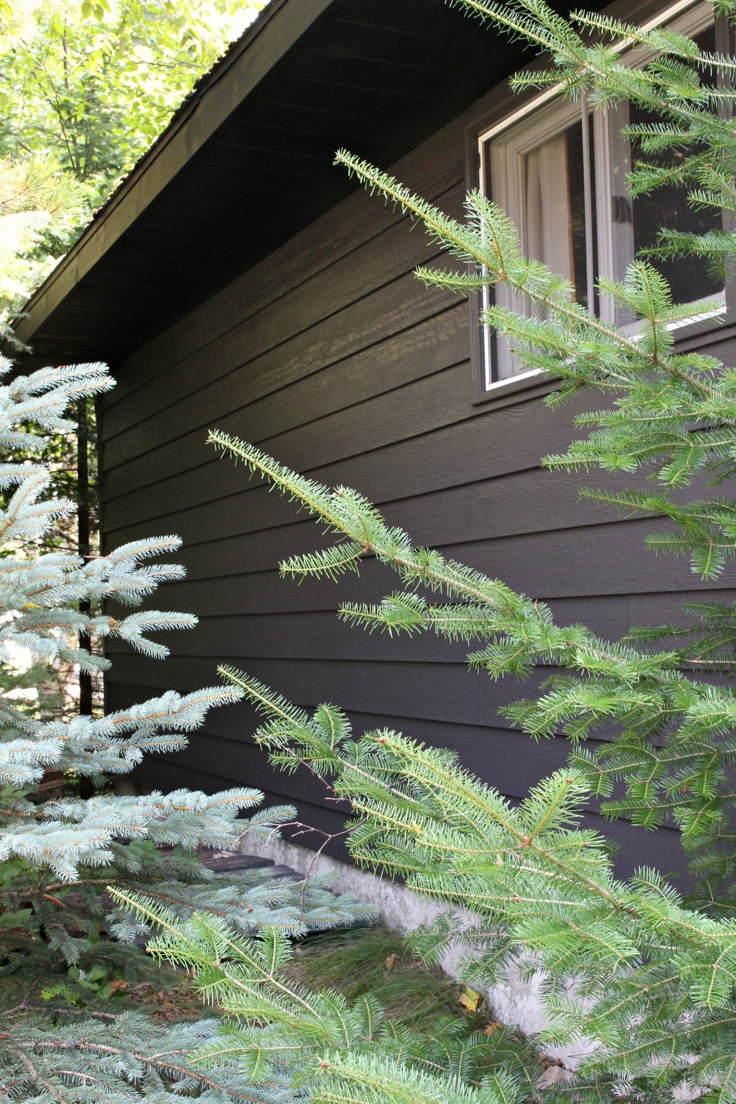 Garage Makeover: Painting Siding with a Paint Sprayer (Wagner Control Pro 150 Review)