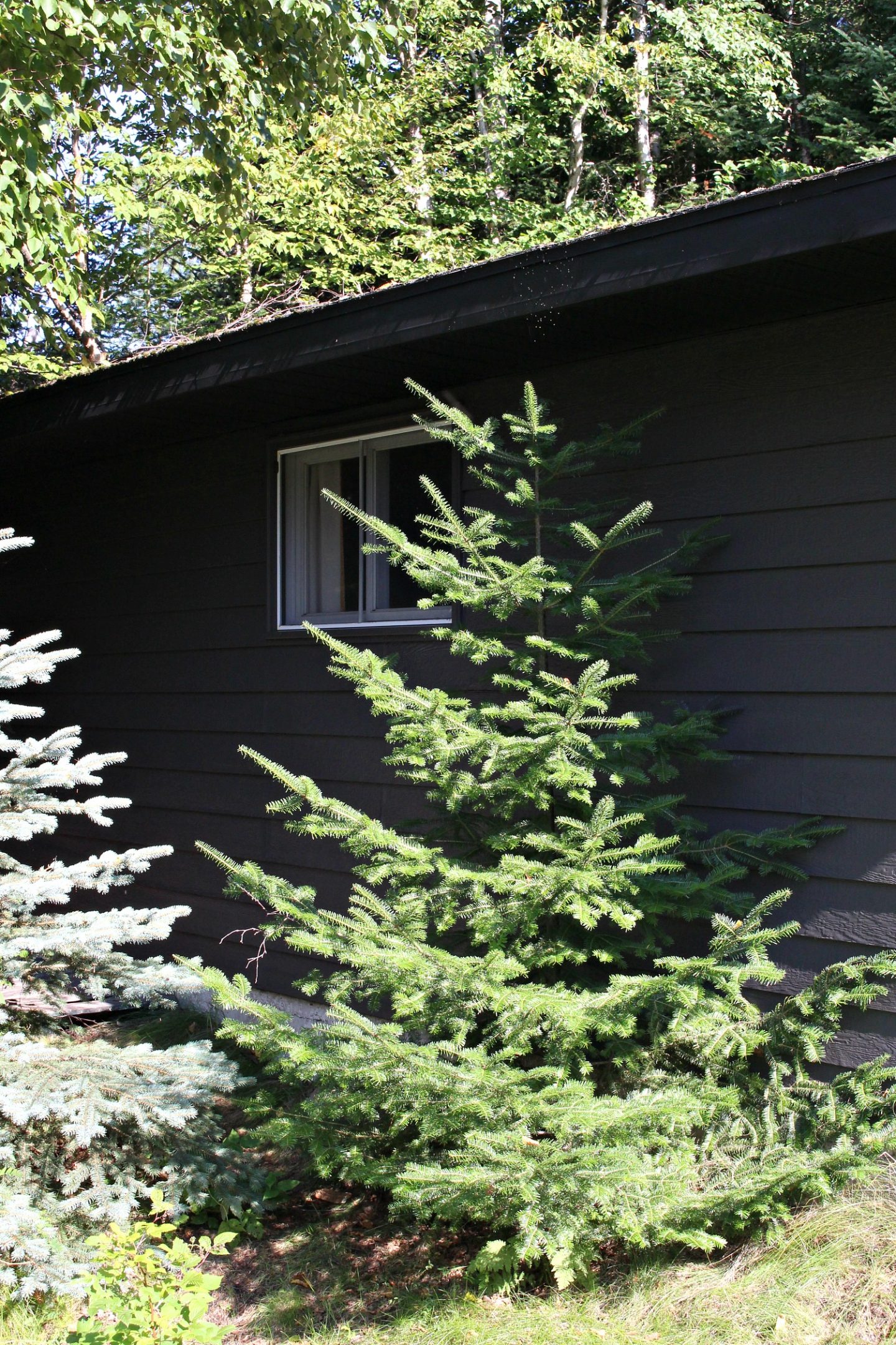 Garage Makeover: Painting Siding with a Paint Sprayer (Wagner Control Pro 150 Review)