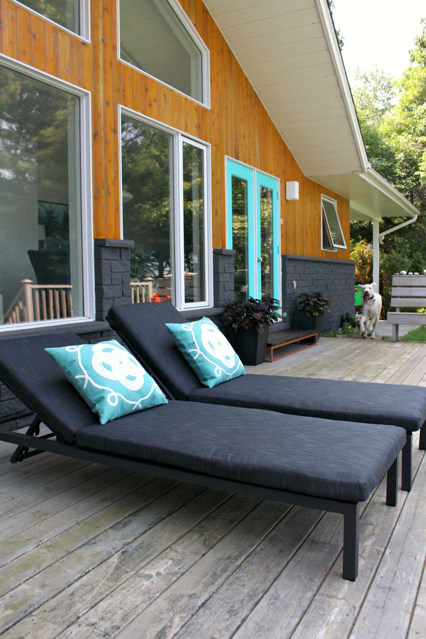 Modern Patio Lounger Review