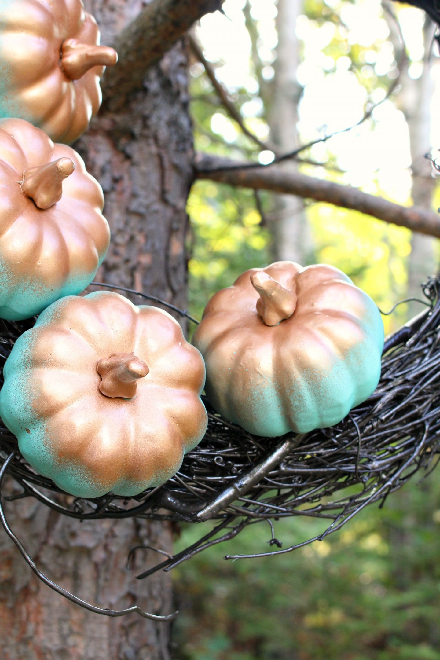 Budget-Friendly Fall Decor