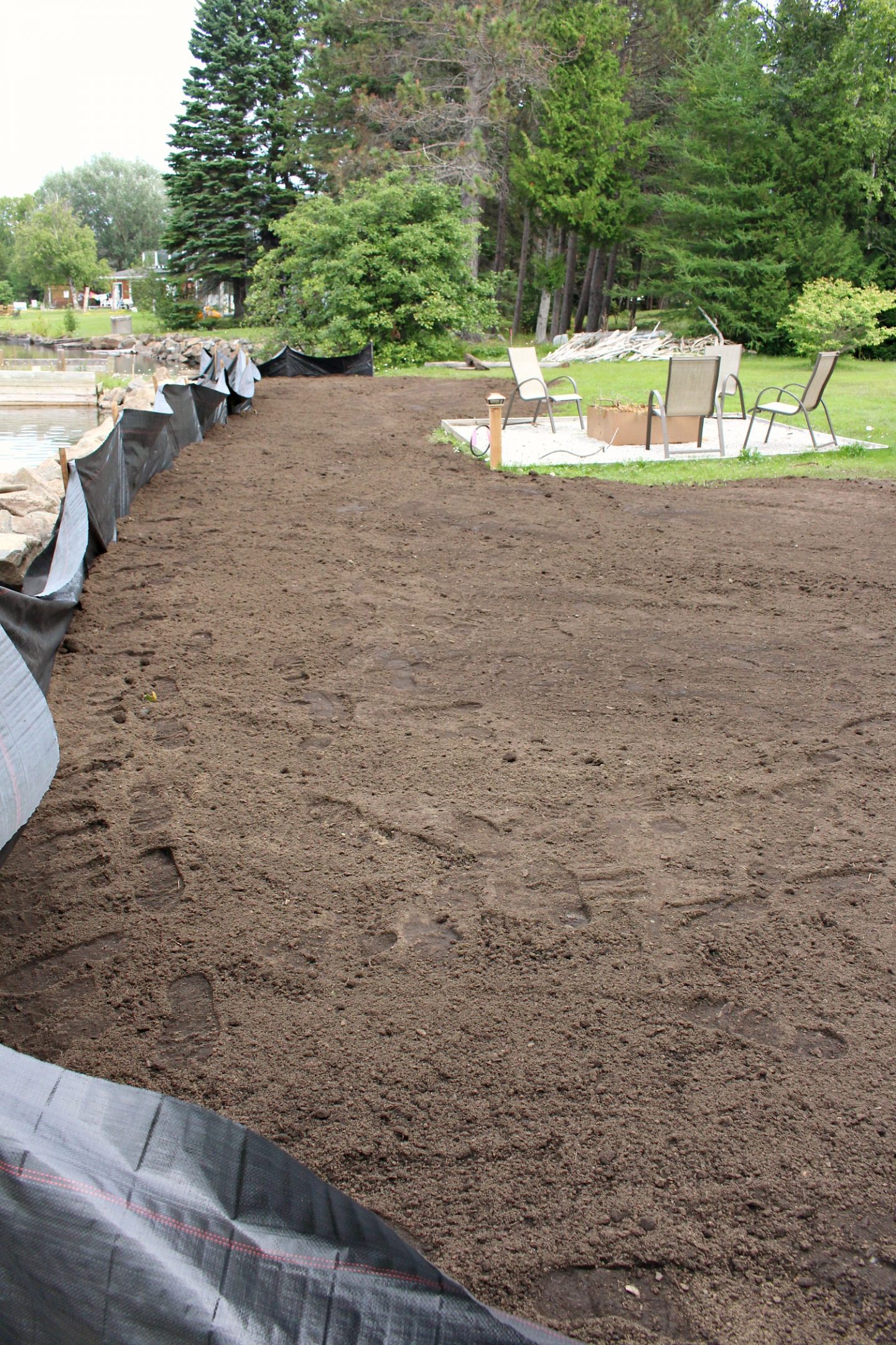 Sod vs. Grass Seed Experiment Results!