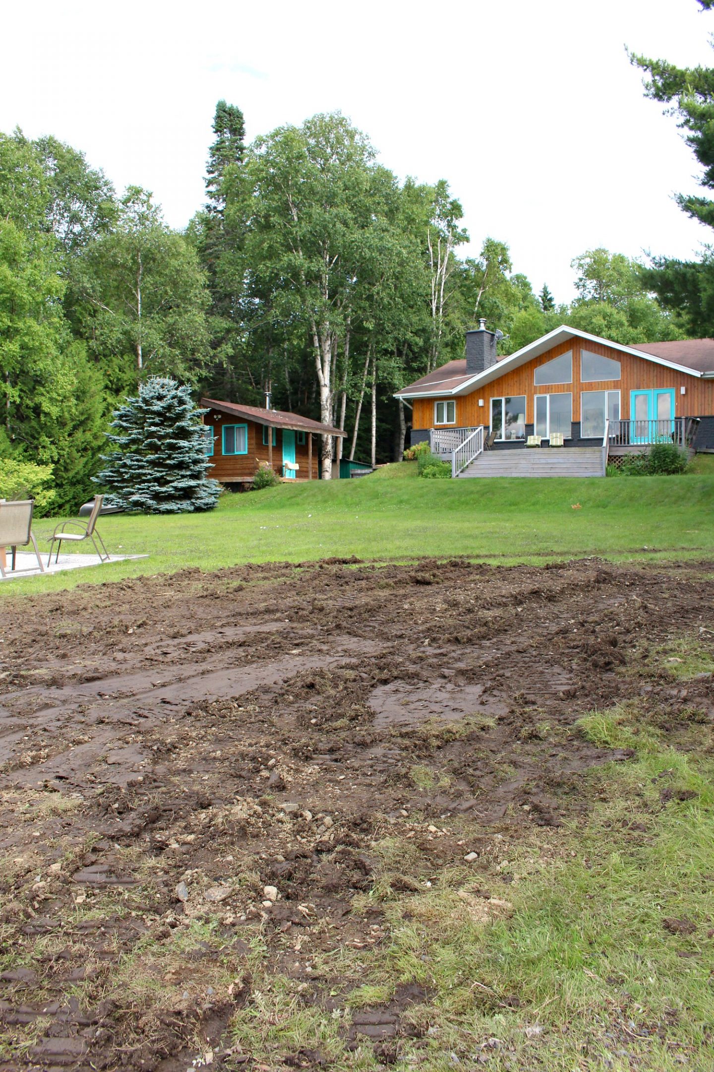 Sod vs. Grass Seed: Trying Both on a Destroyed Lawn!