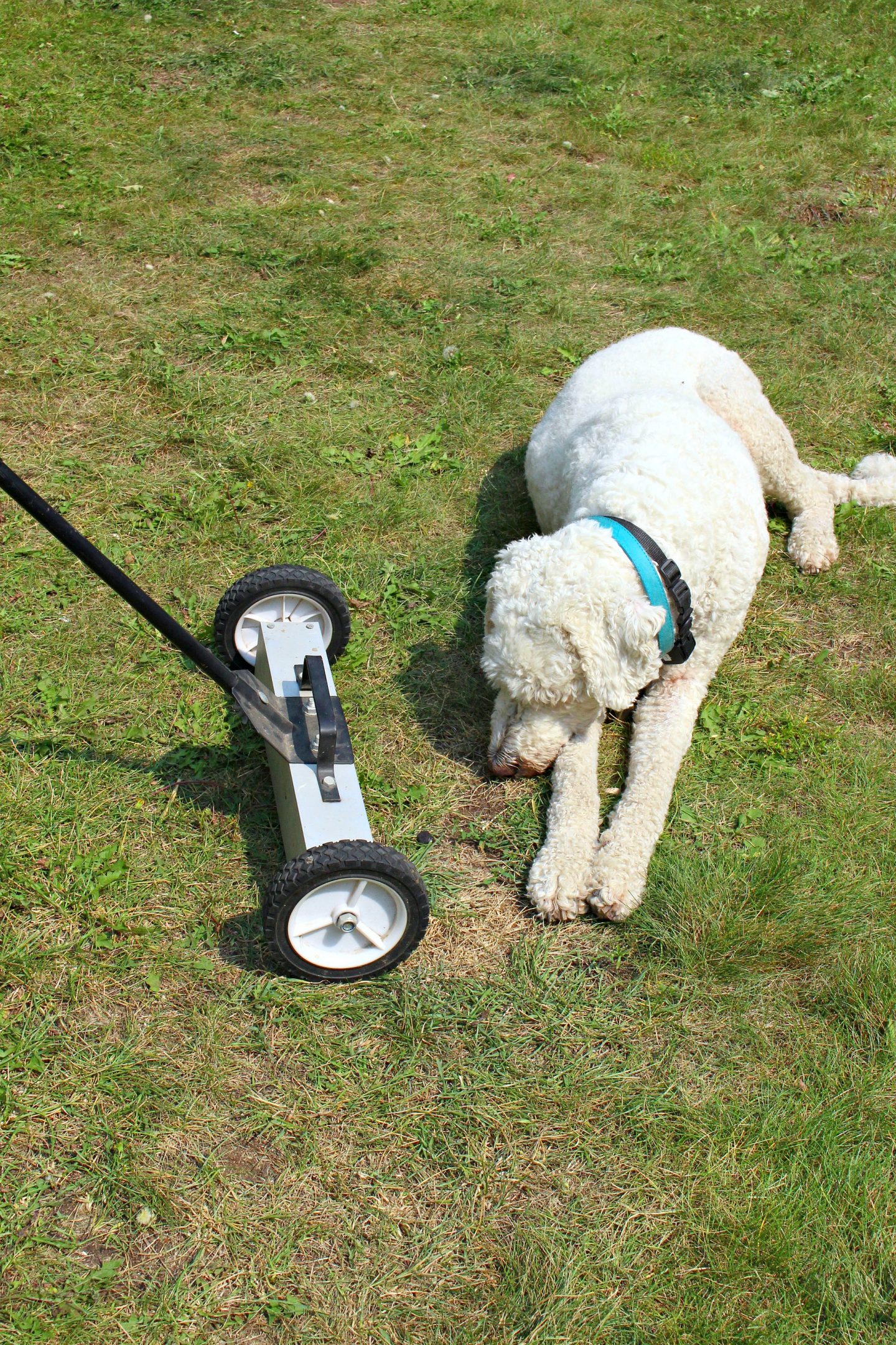 Magnetic Sweeper - a MUST Have For Any Exterior Renovating