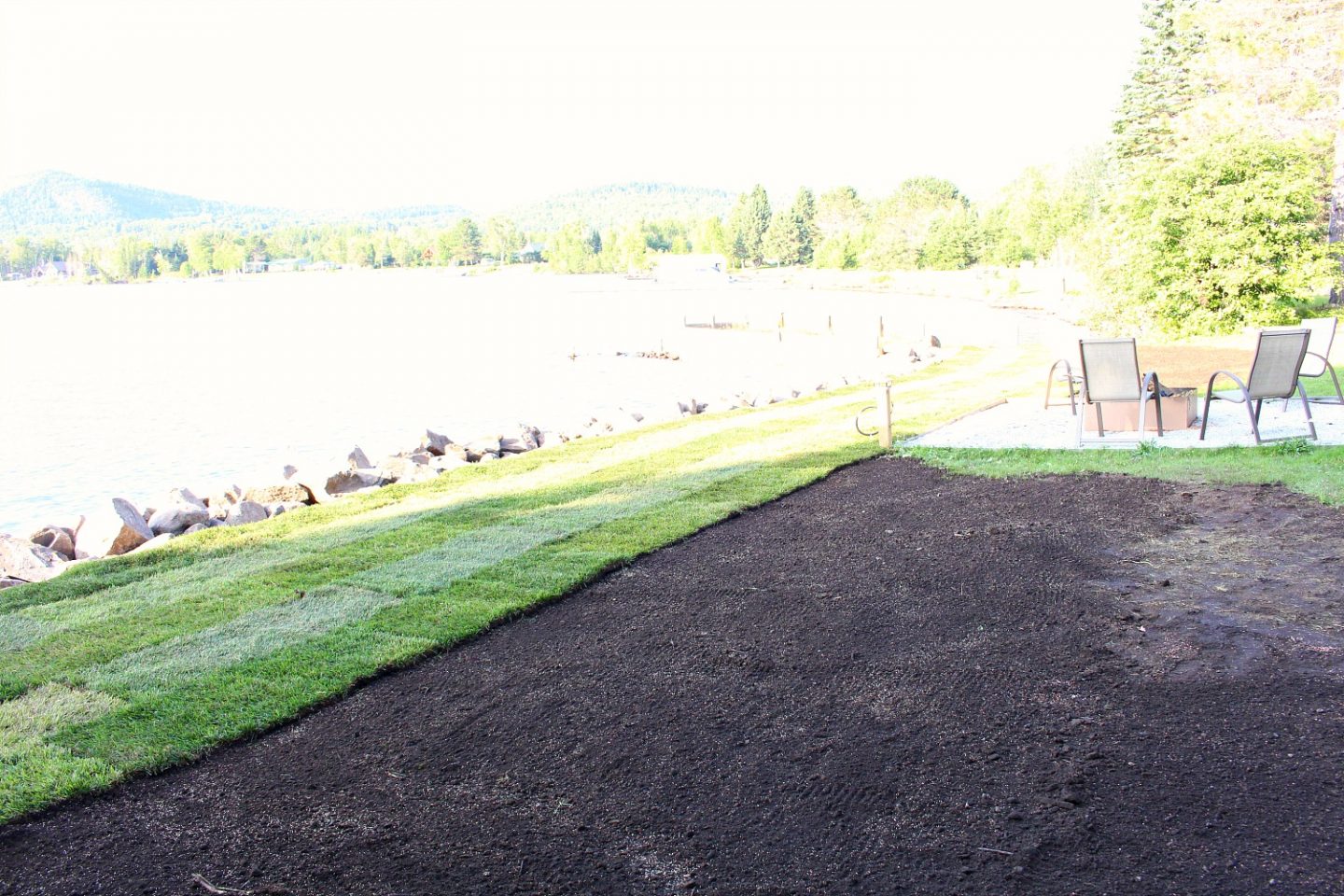 Sod vs. Grass Seed: Tips for Laying Sod
