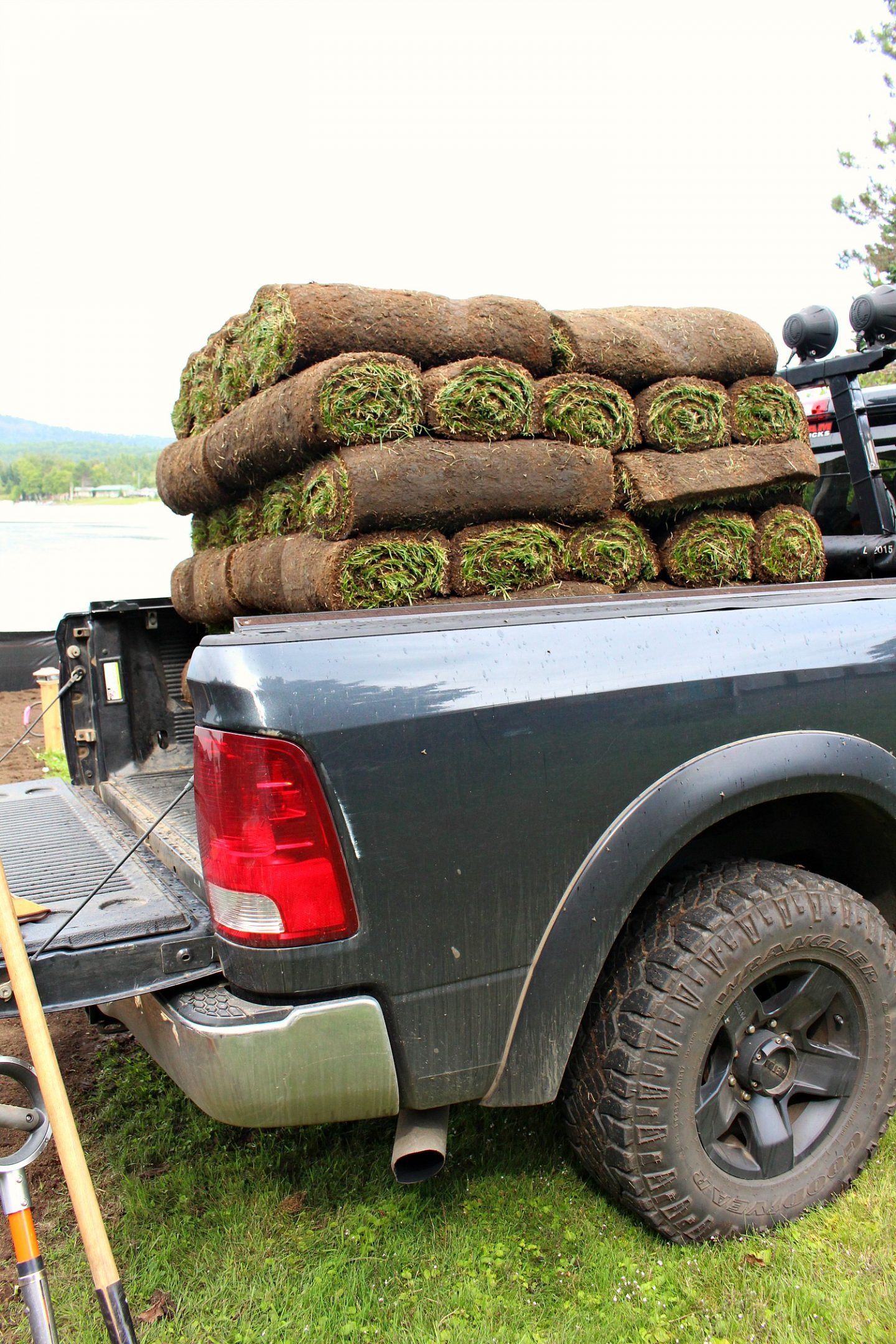 Sod Pros and Cons