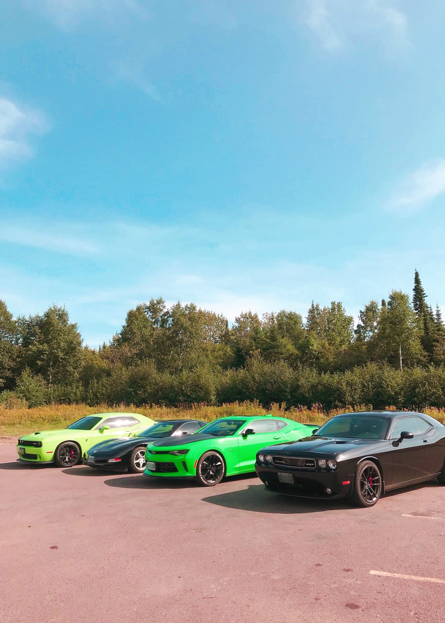 Hellcat, Corvette, Camaro and Challenger Lined Up