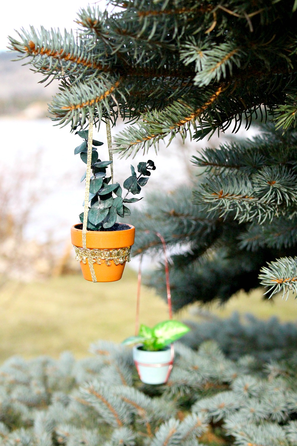 DIY Mini Potted Plant Ornament