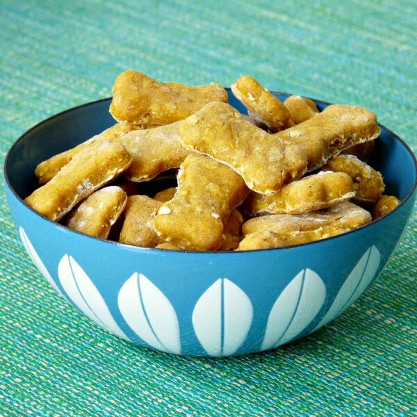 HOMEMADE DOG TREATS