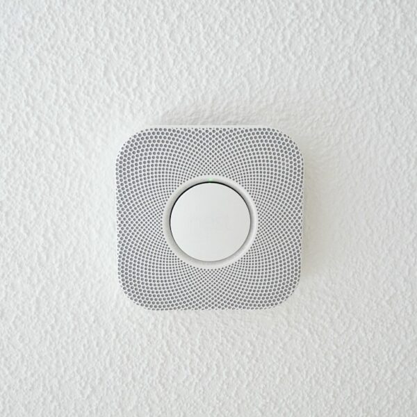 REVIEW OF NEST PRODUCTS