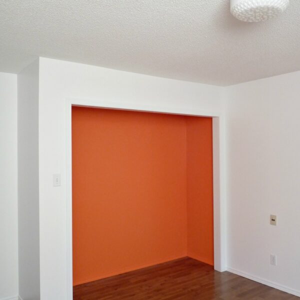 PAINTED CLOSETS