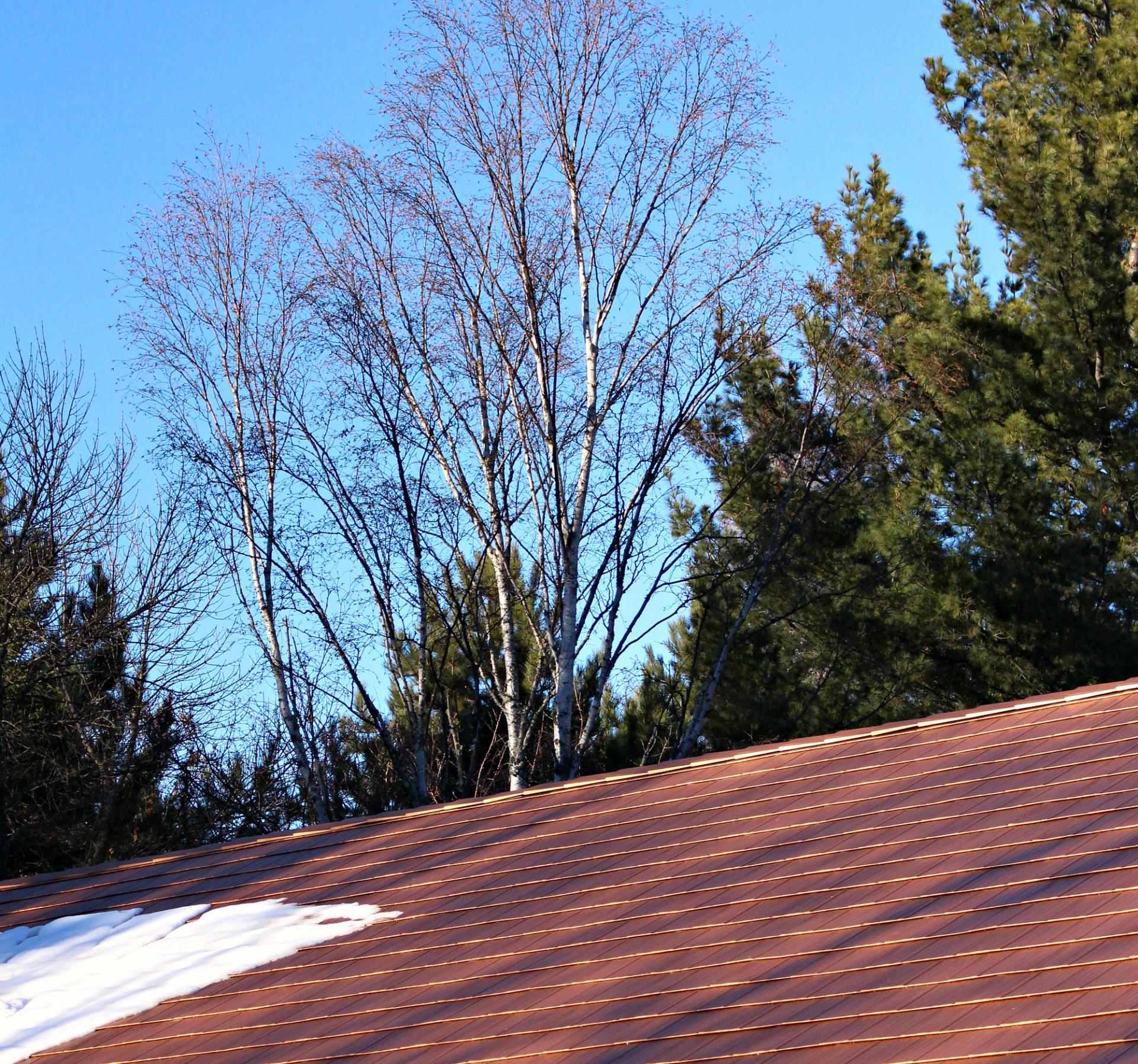 New Copper Metal Roof | Metal Roofing Before + After | Dans le Lakehouse