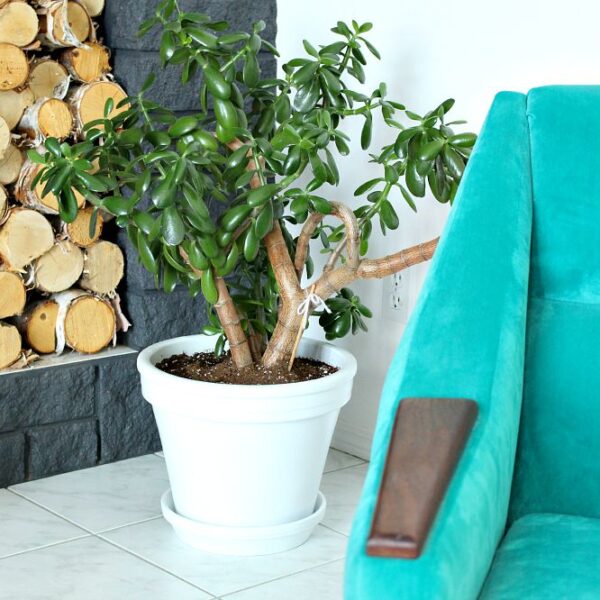 HOW TO PAINT A TERRACOTTA PLANTER